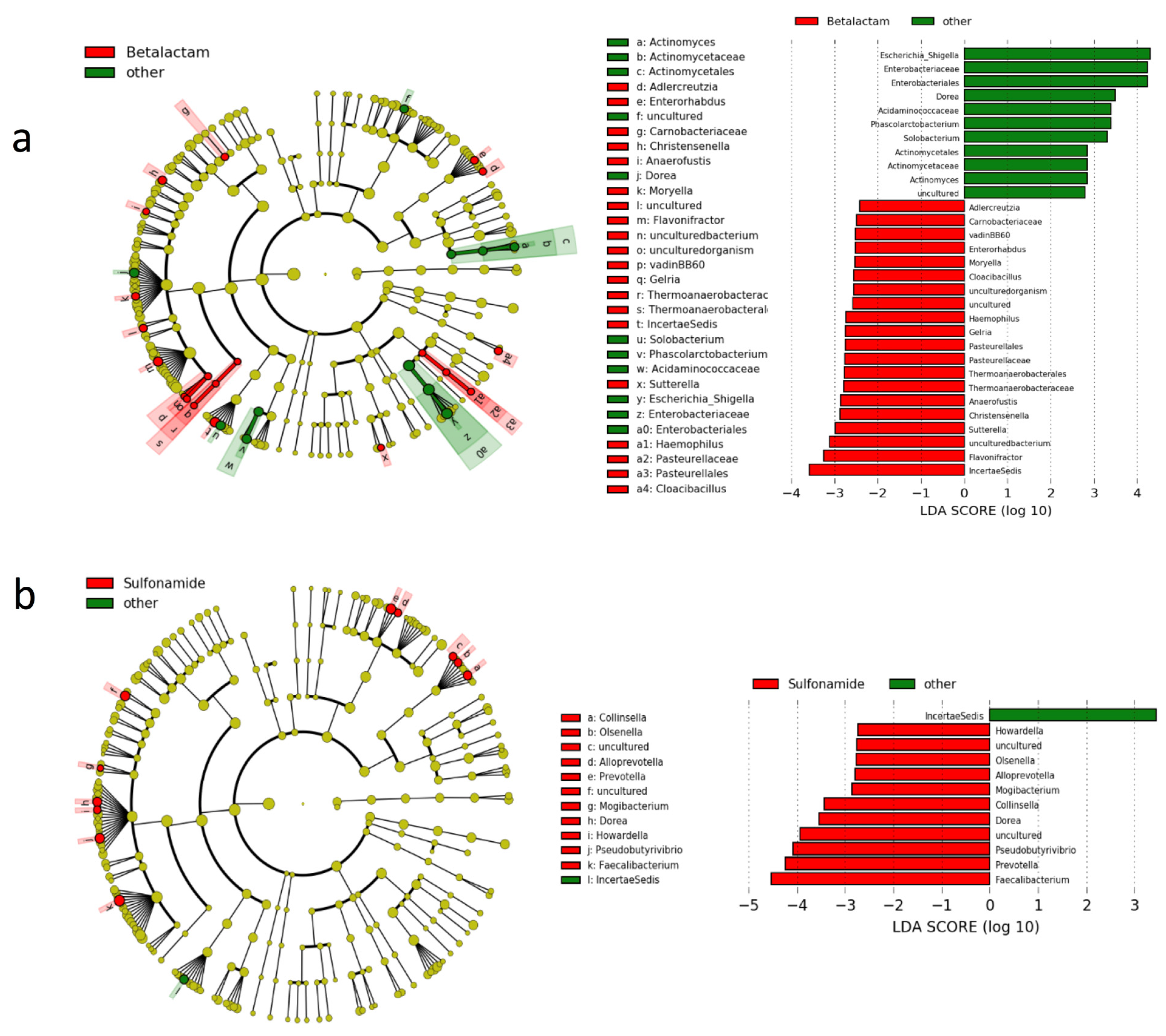 Genes 12 00041 g005 Genes 12 00041 g005