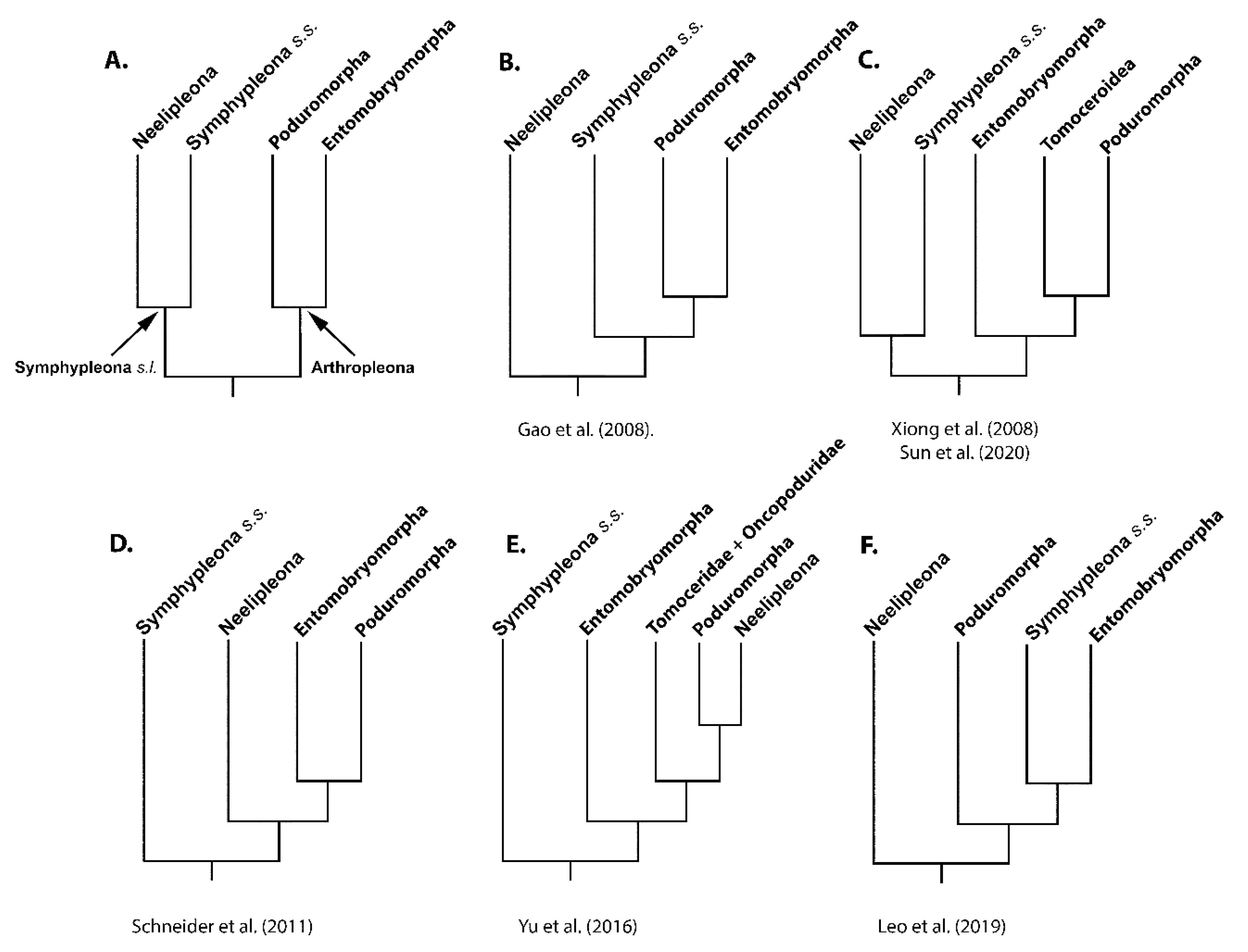 Genes 12 00044 g001 Genes 12 00044 g001