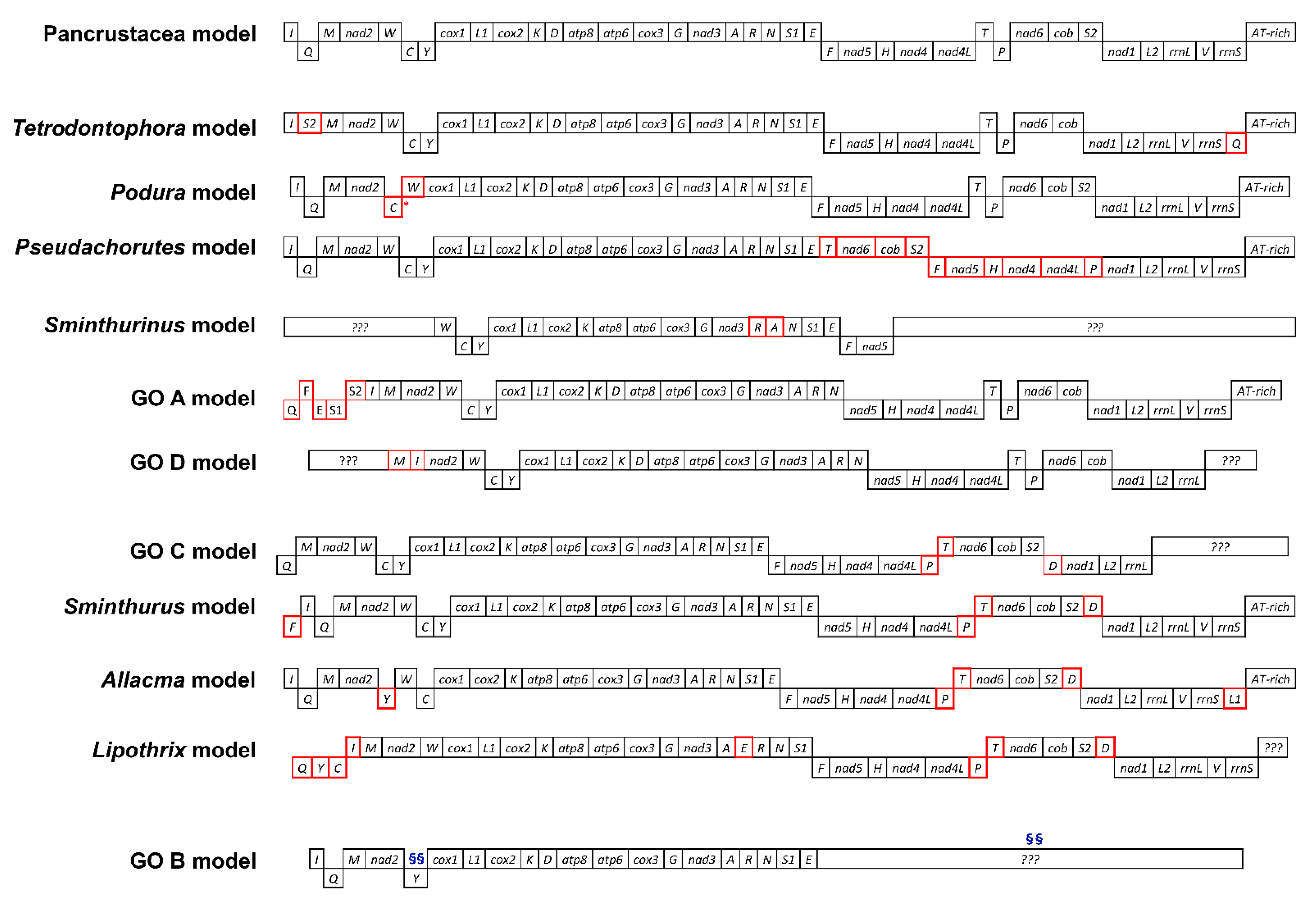 Genes 12 00044 g002 Genes 12 00044 g002