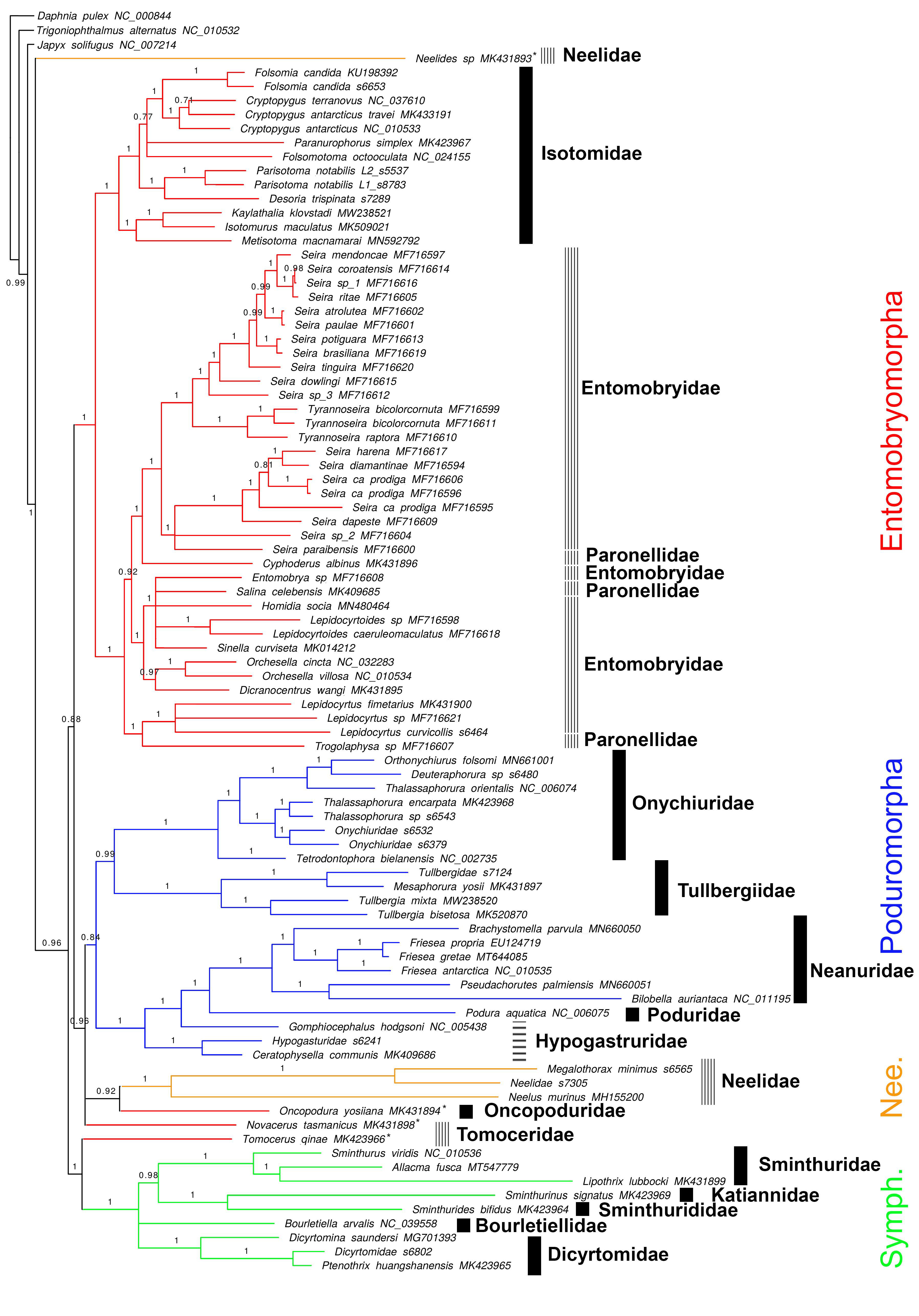 Genes 12 00044 g004 Genes 12 00044 g004