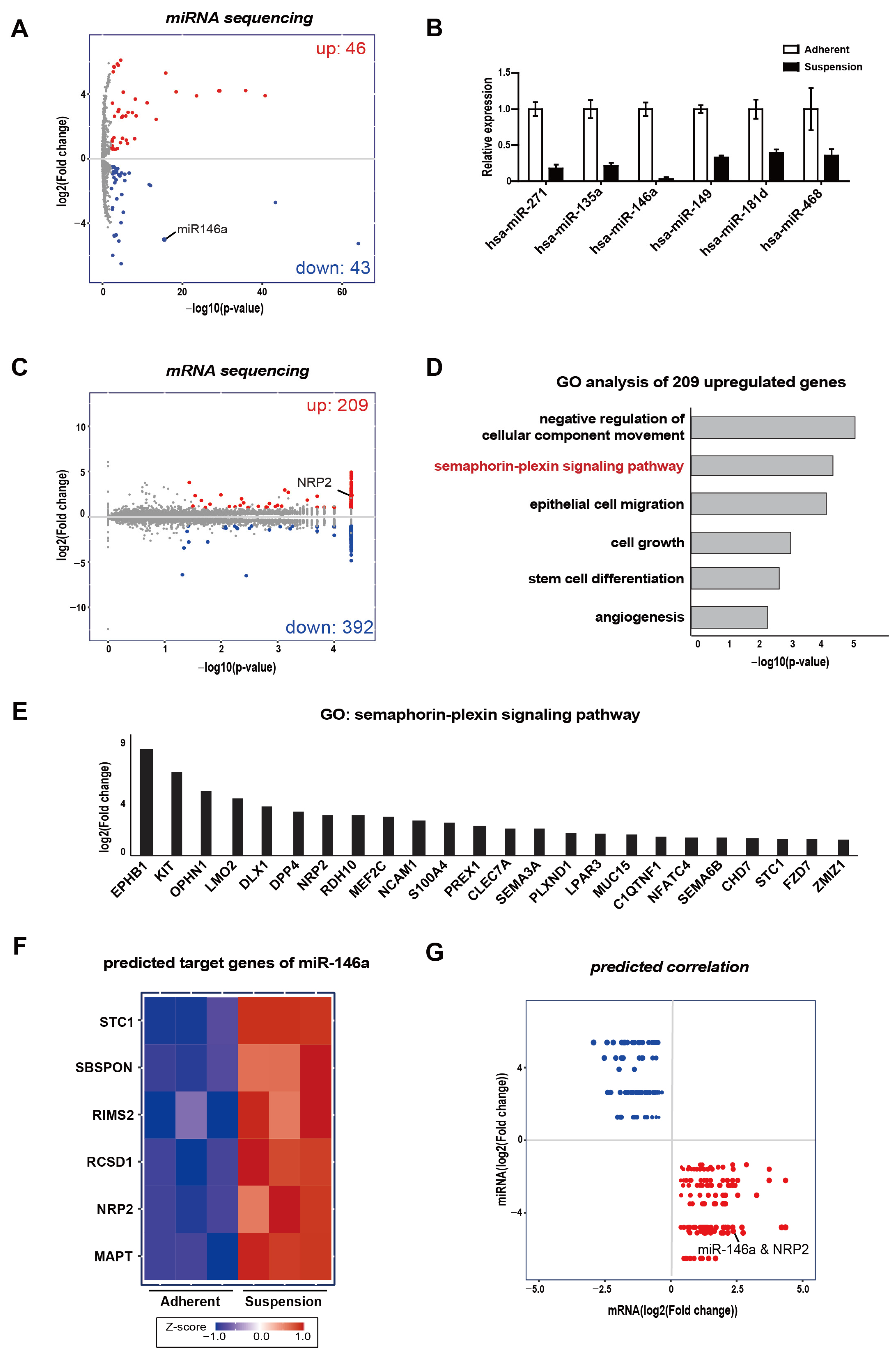 Genes 12 00045 g001