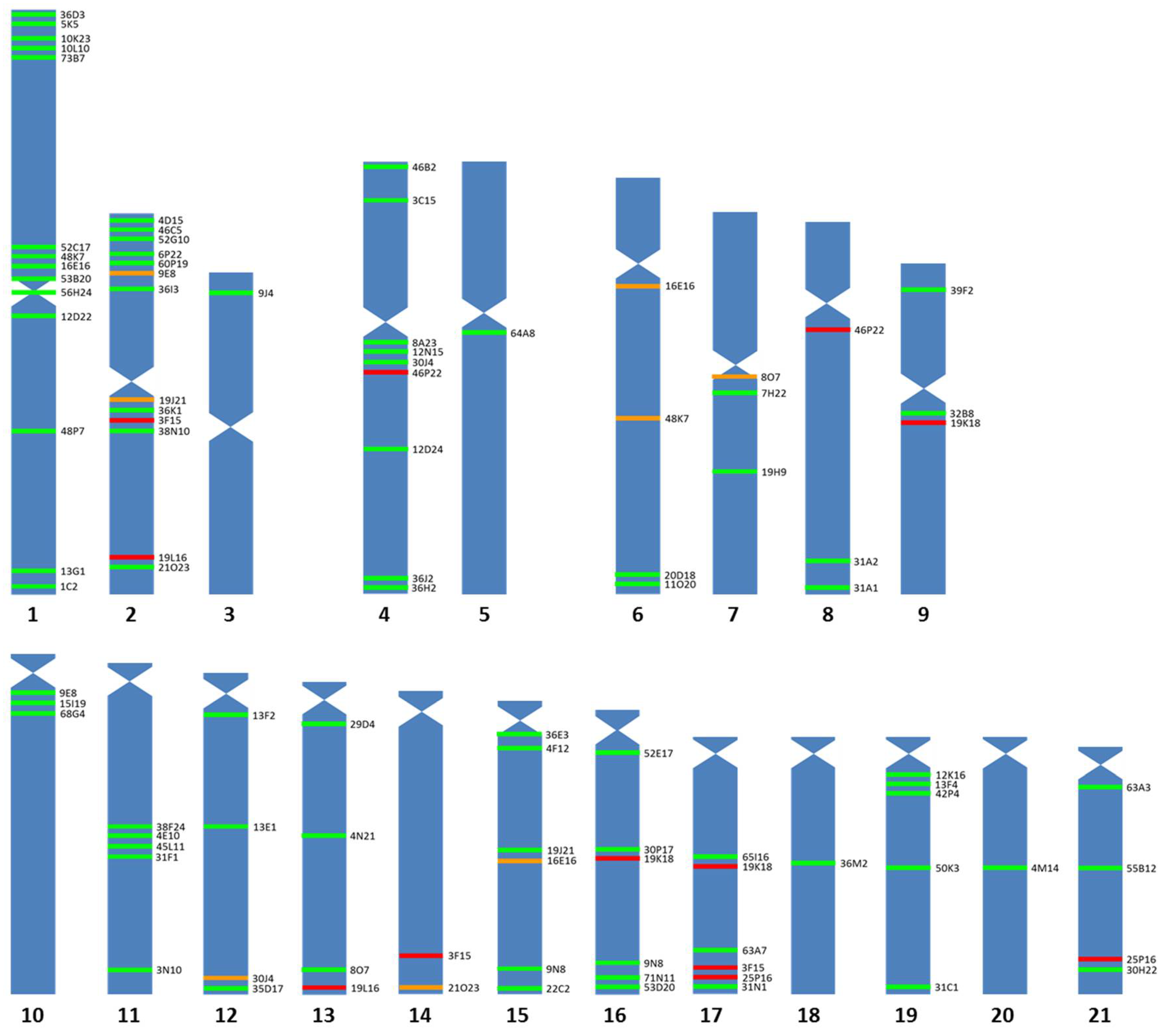 Genes 12 00049 g001