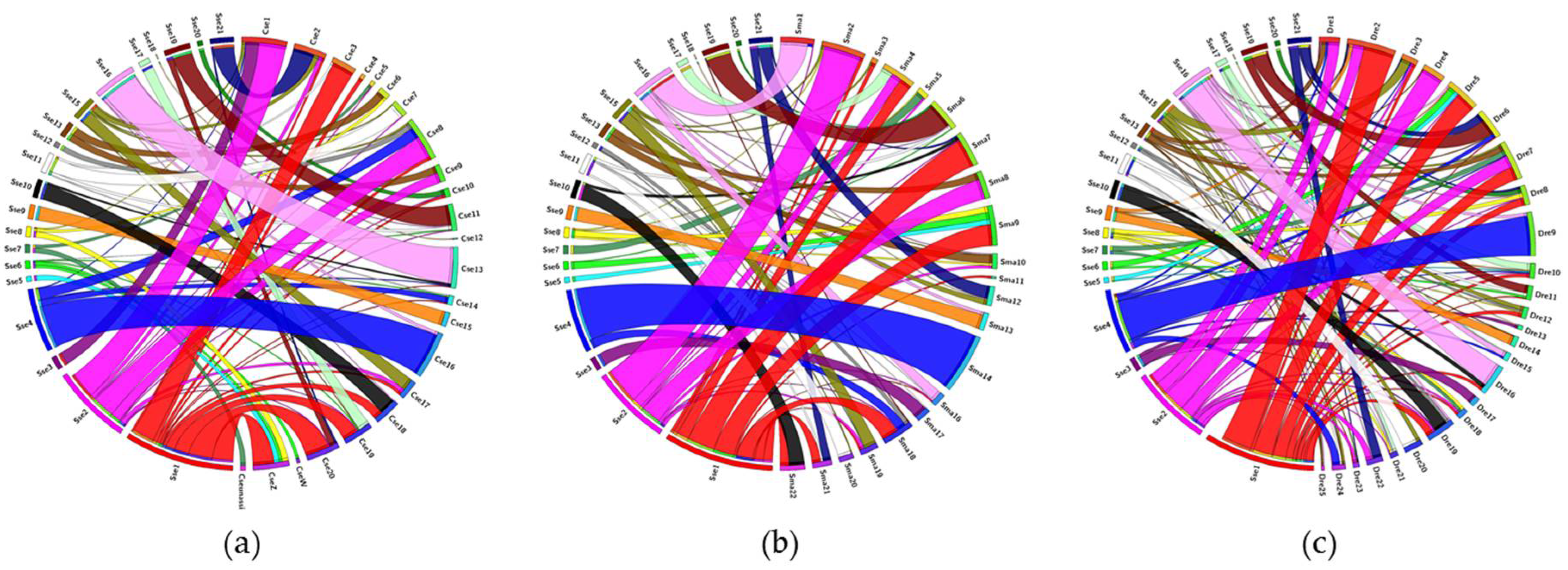 Genes 12 00049 g005