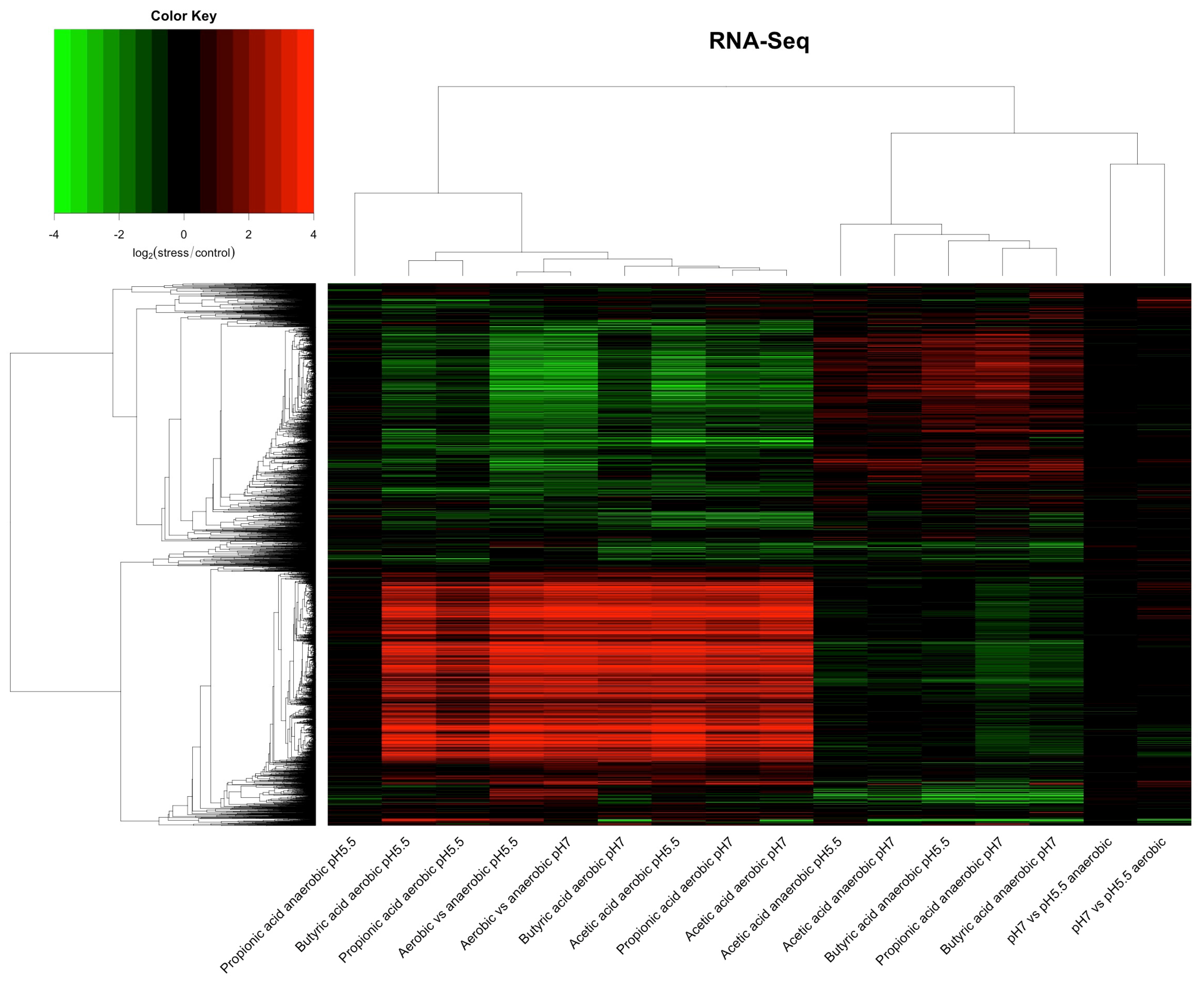 Genes 12 00053 g001 Genes 12 00053 g001