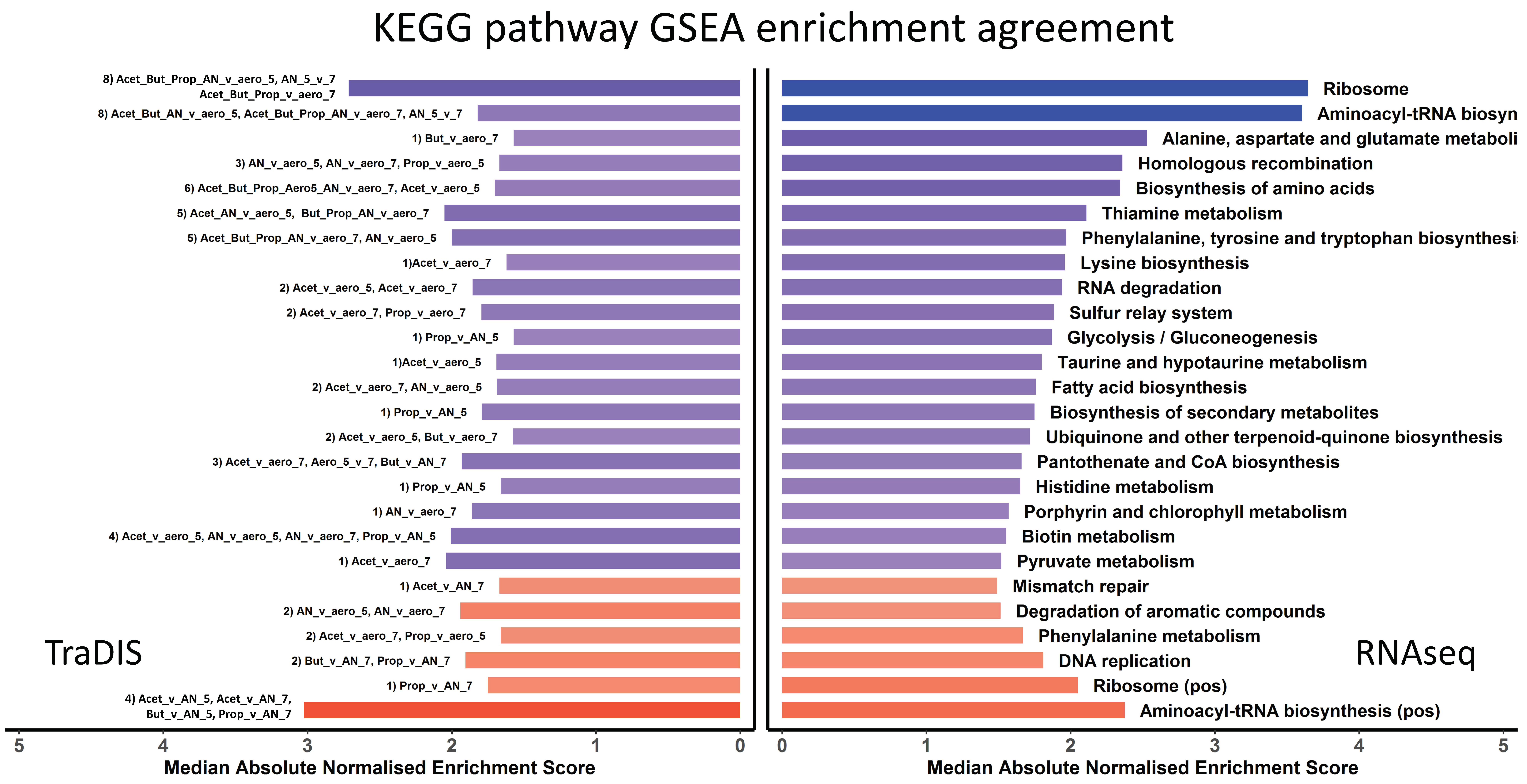 Genes 12 00053 g008 Genes 12 00053 g008