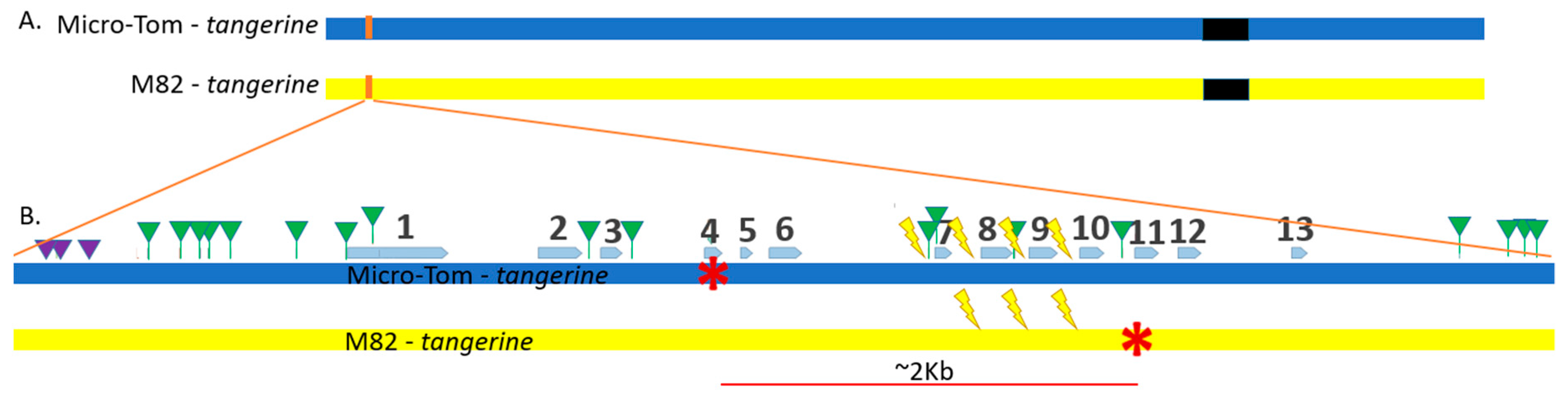 Genes Free Full Text Crispr Cas9 Induced Somatic Recombination At The Crtiso Locus In Tomato Html