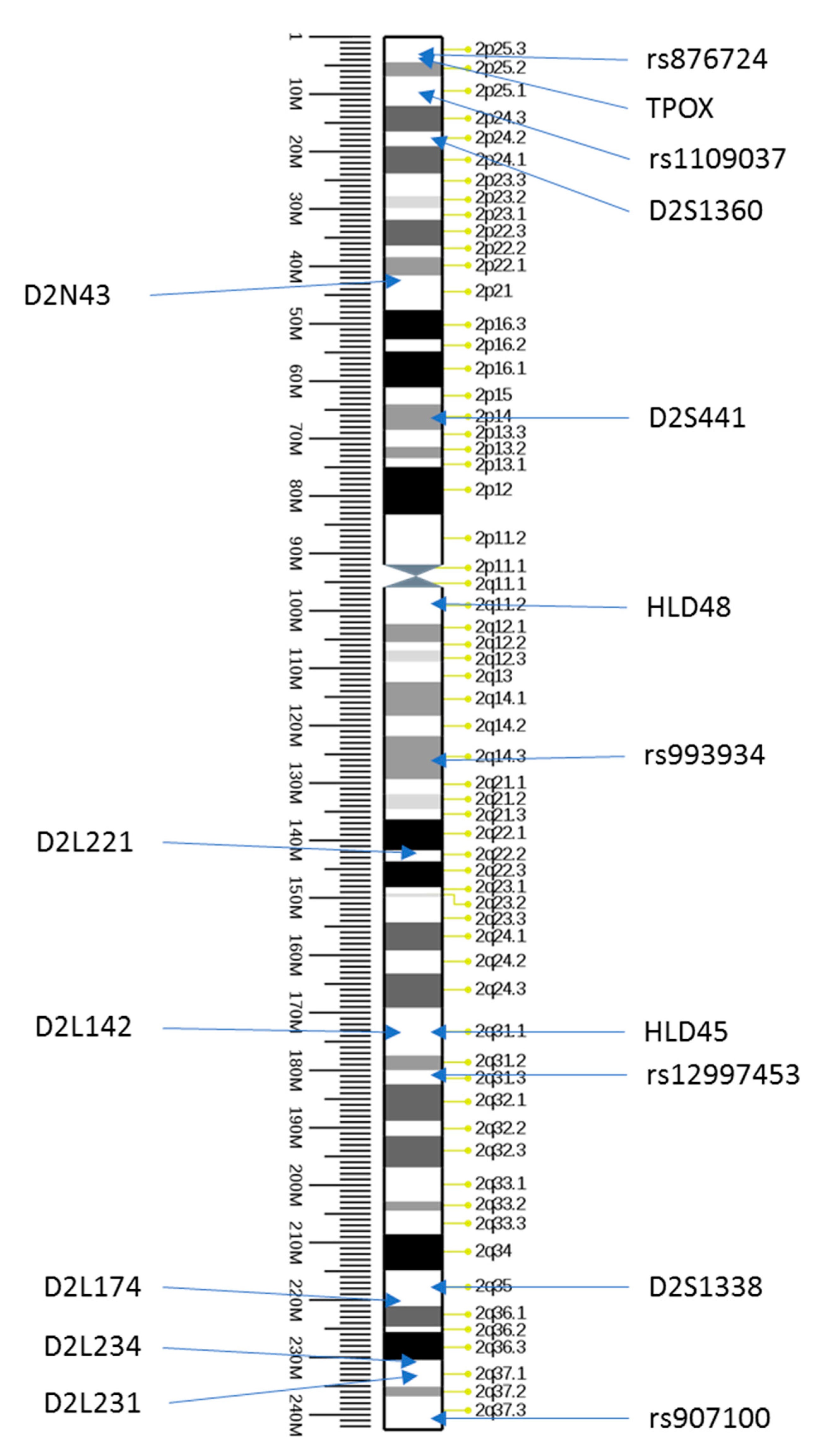 Genes 12 00062 g001 Genes 12 00062 g001