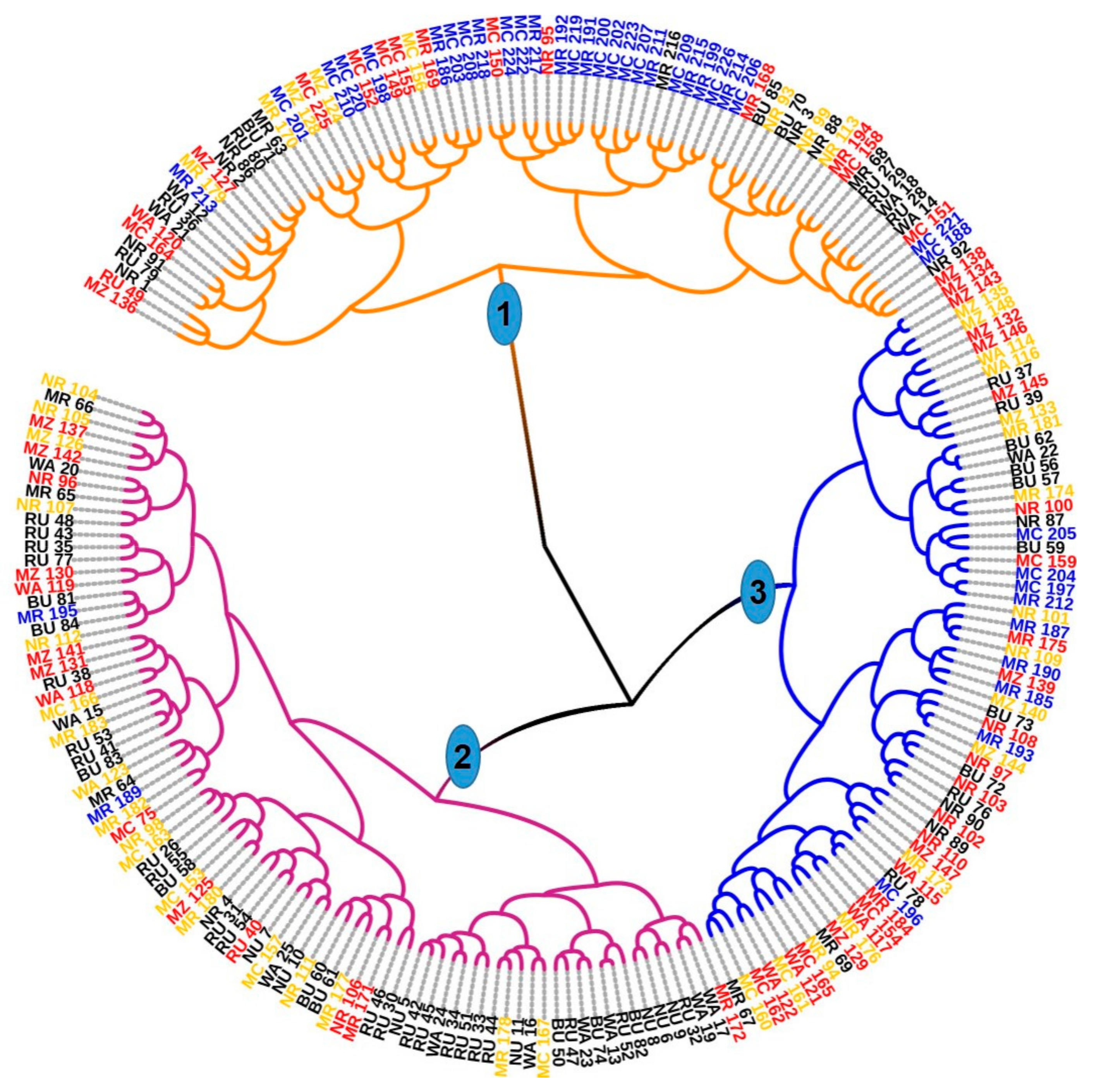 Genes 12 00063 g009