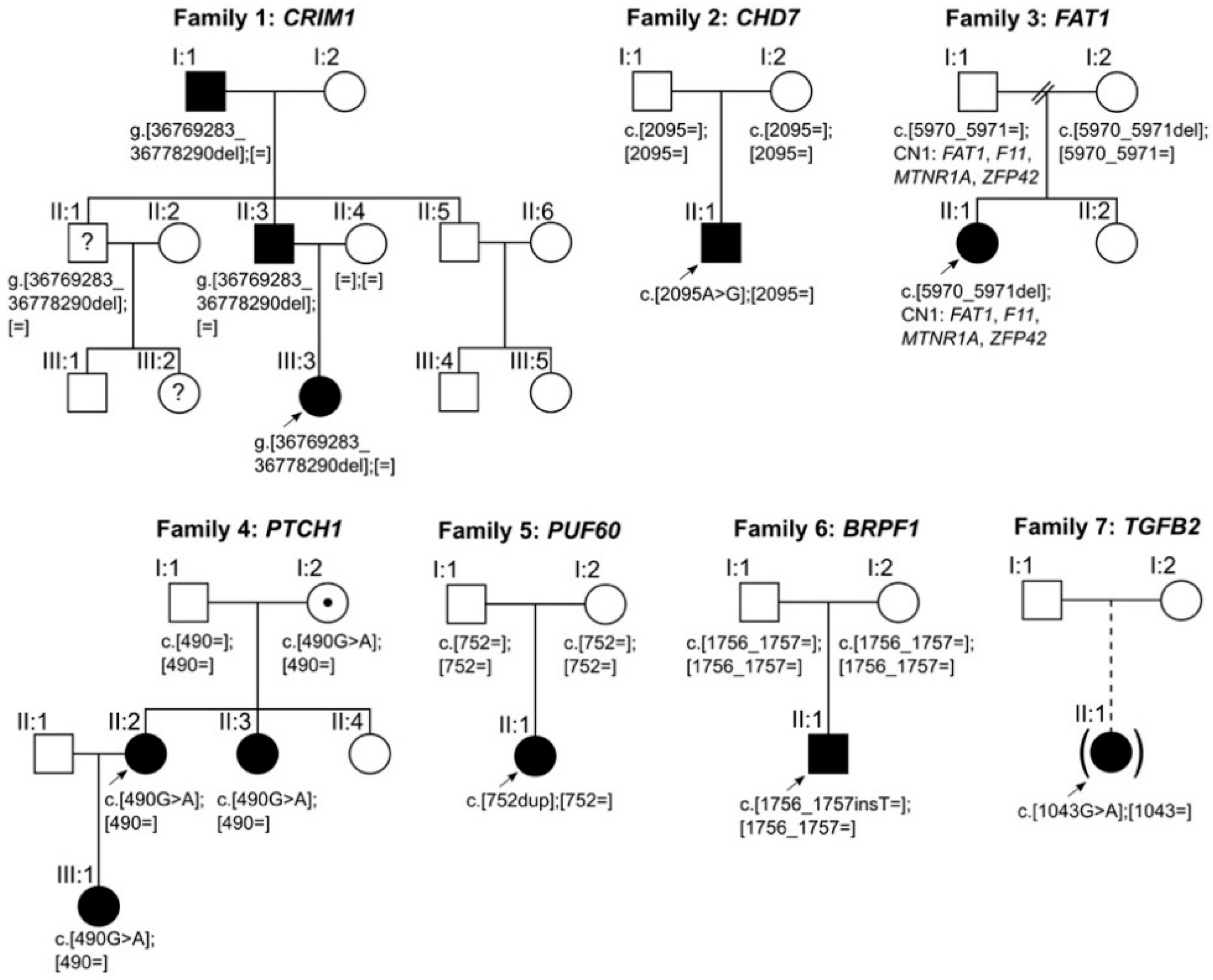 Genes 12 00065 g001 Genes 12 00065 g001
