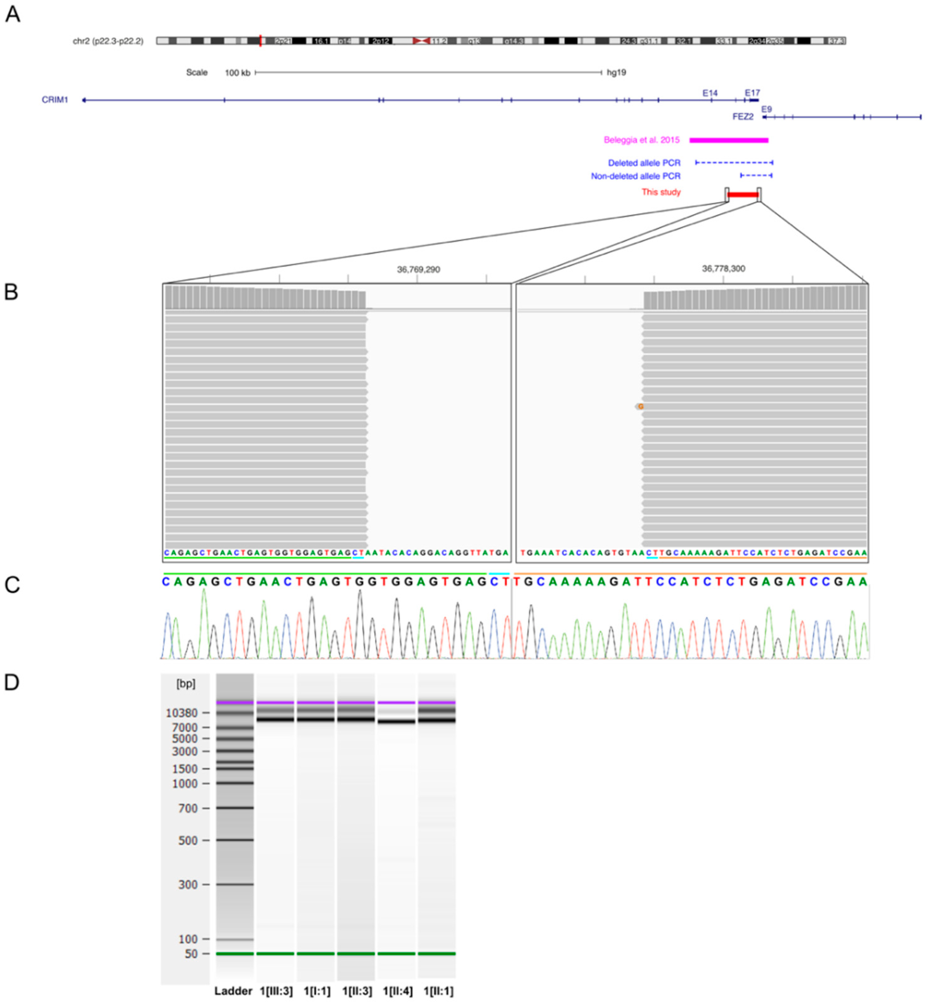 Genes 12 00065 g002 Genes 12 00065 g002