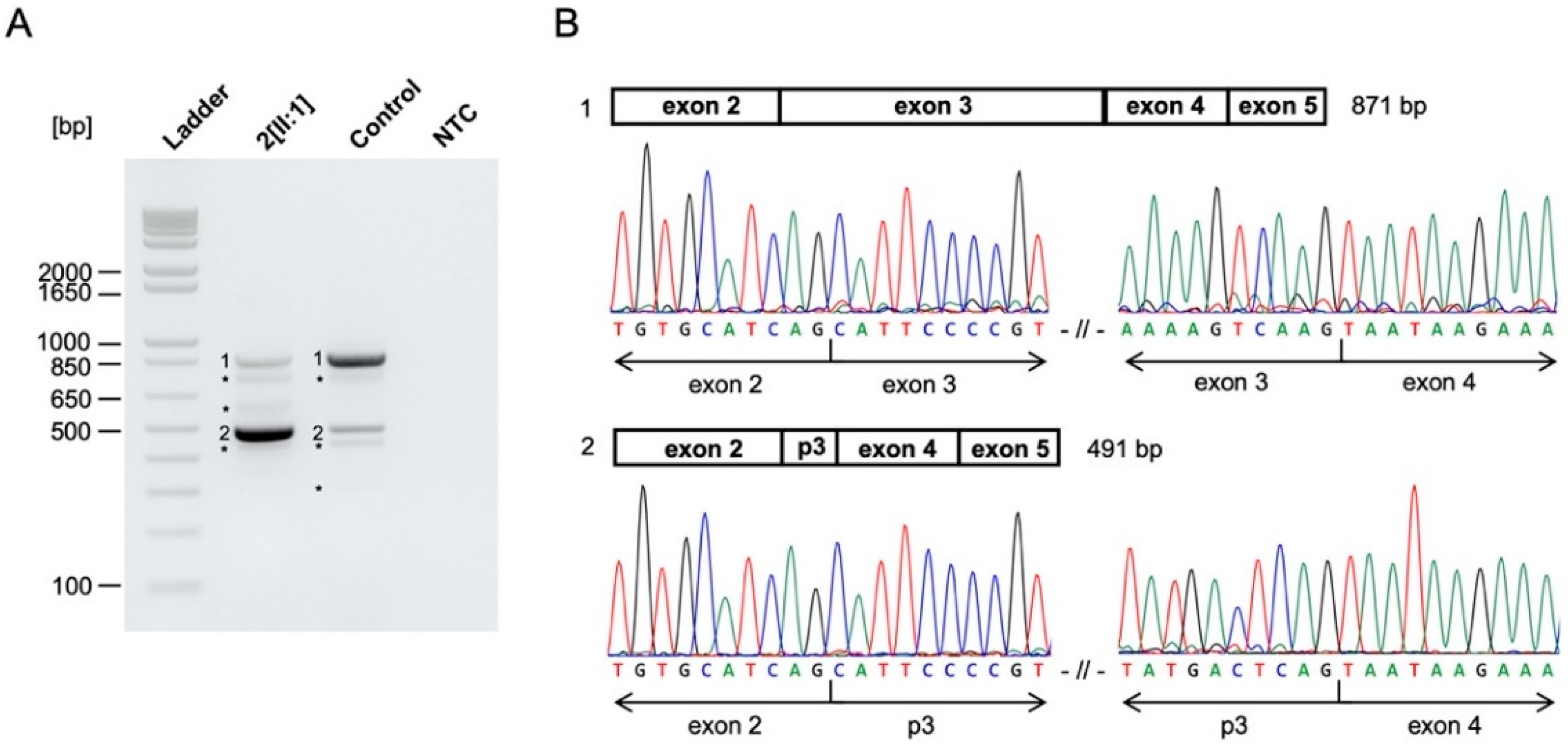 Genes 12 00065 g004 Genes 12 00065 g004