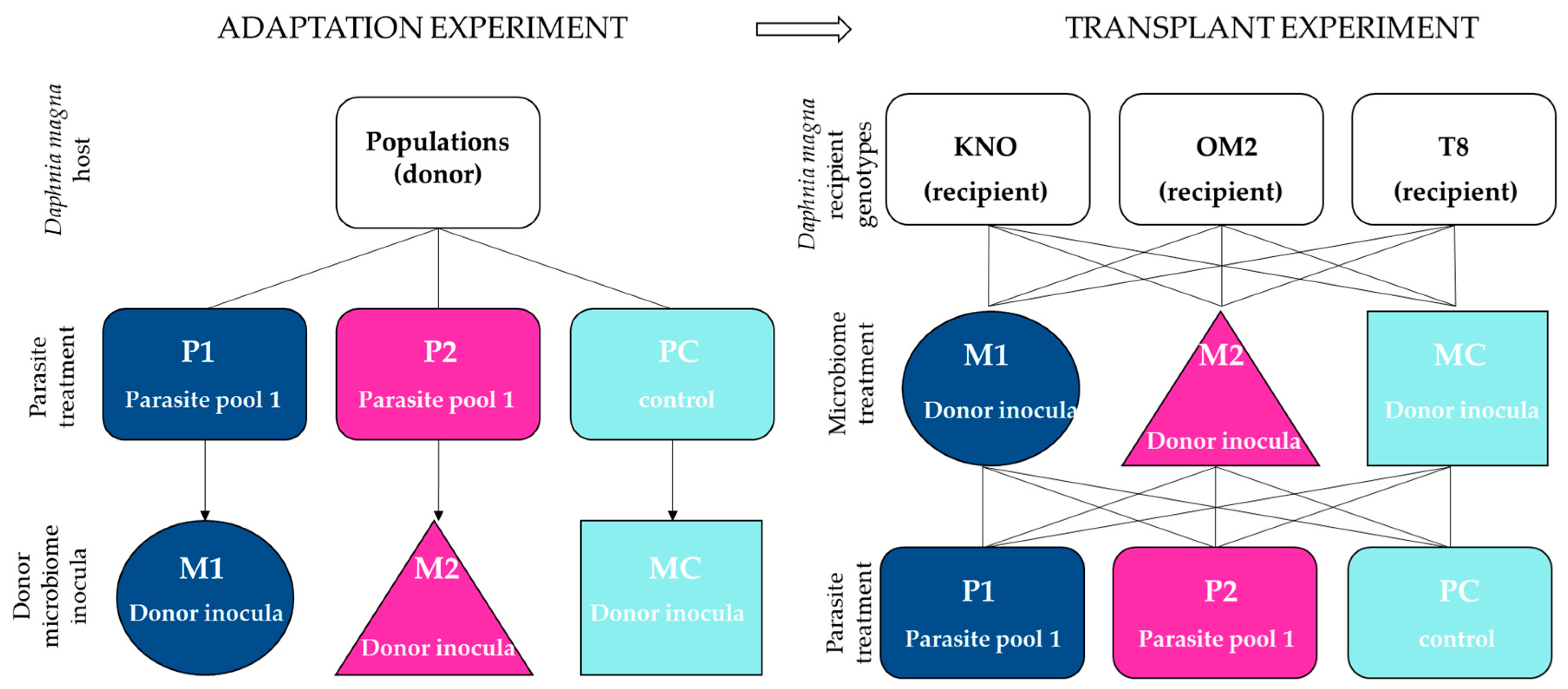 Genes 12 00070 g001 Genes 12 00070 g001