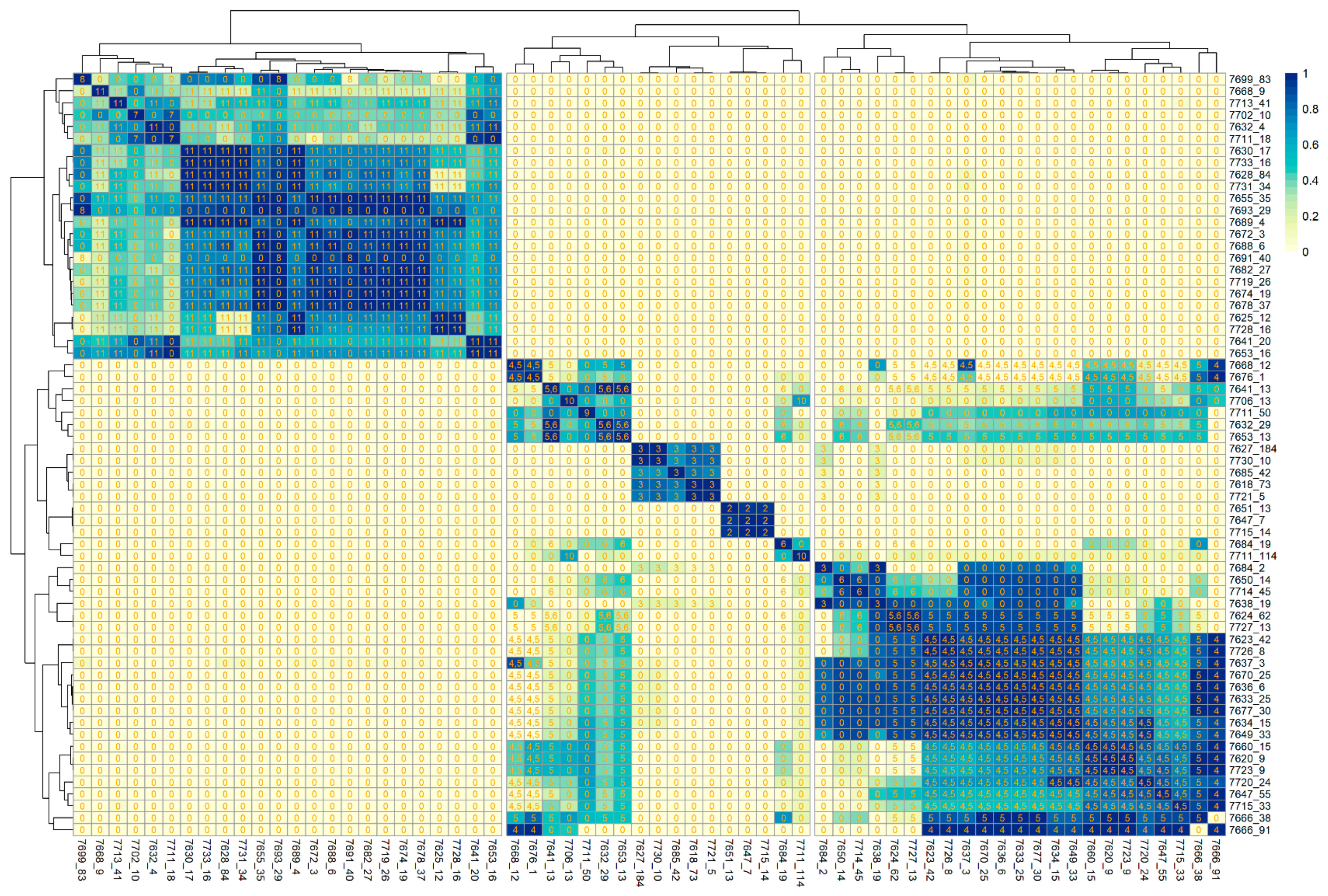 Genes 12 00072 g005a