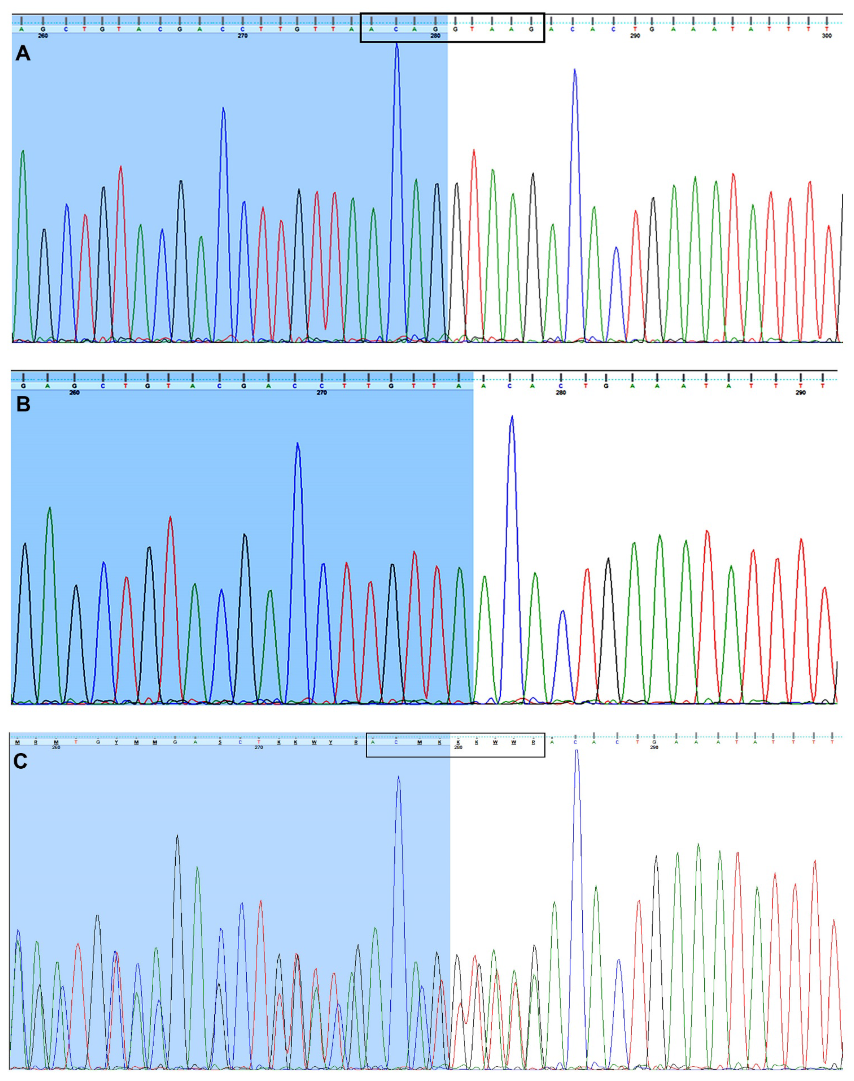 Genes 12 00074 g001 Genes 12 00074 g001