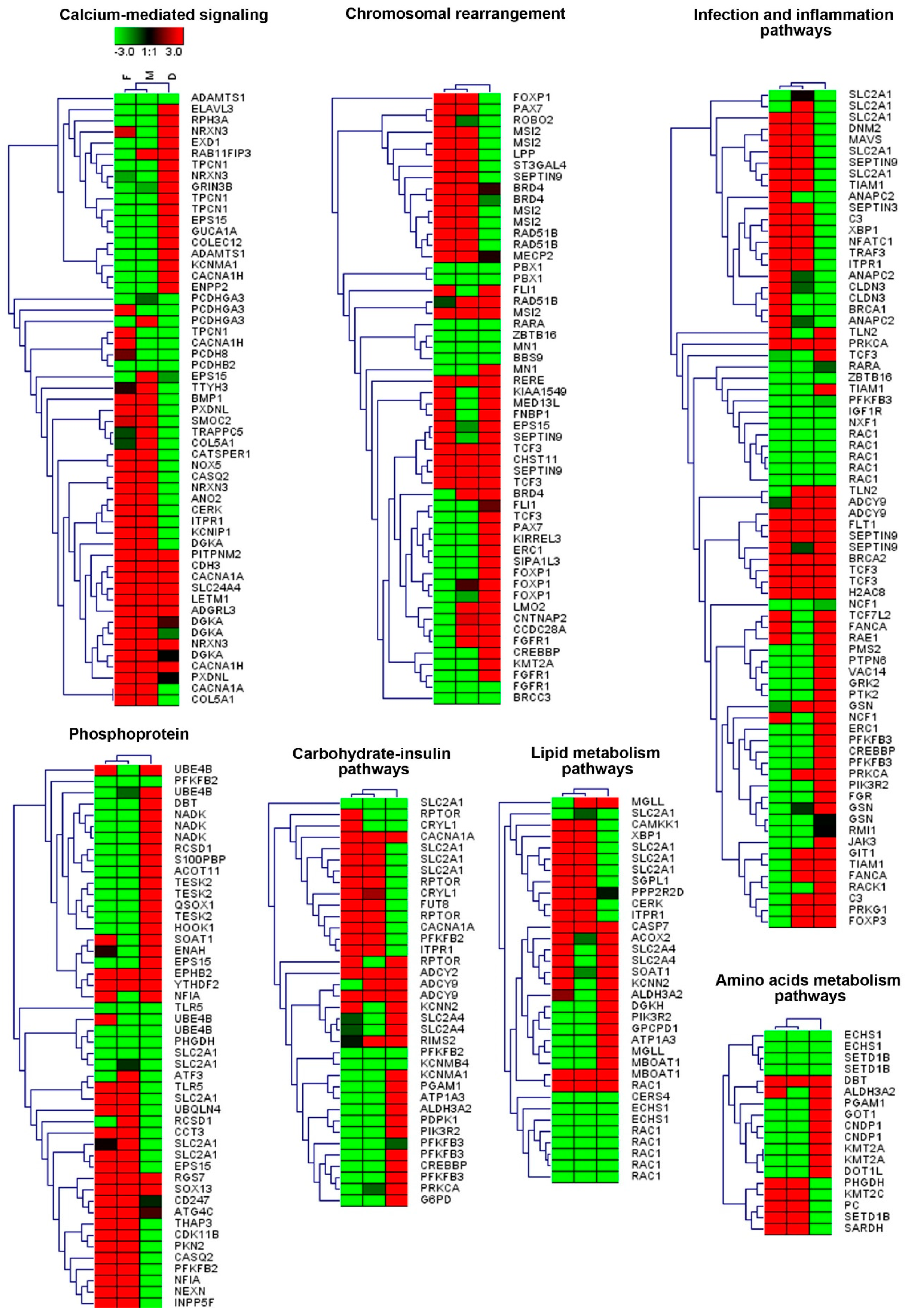 Genes 12 00074 g004 Genes 12 00074 g004