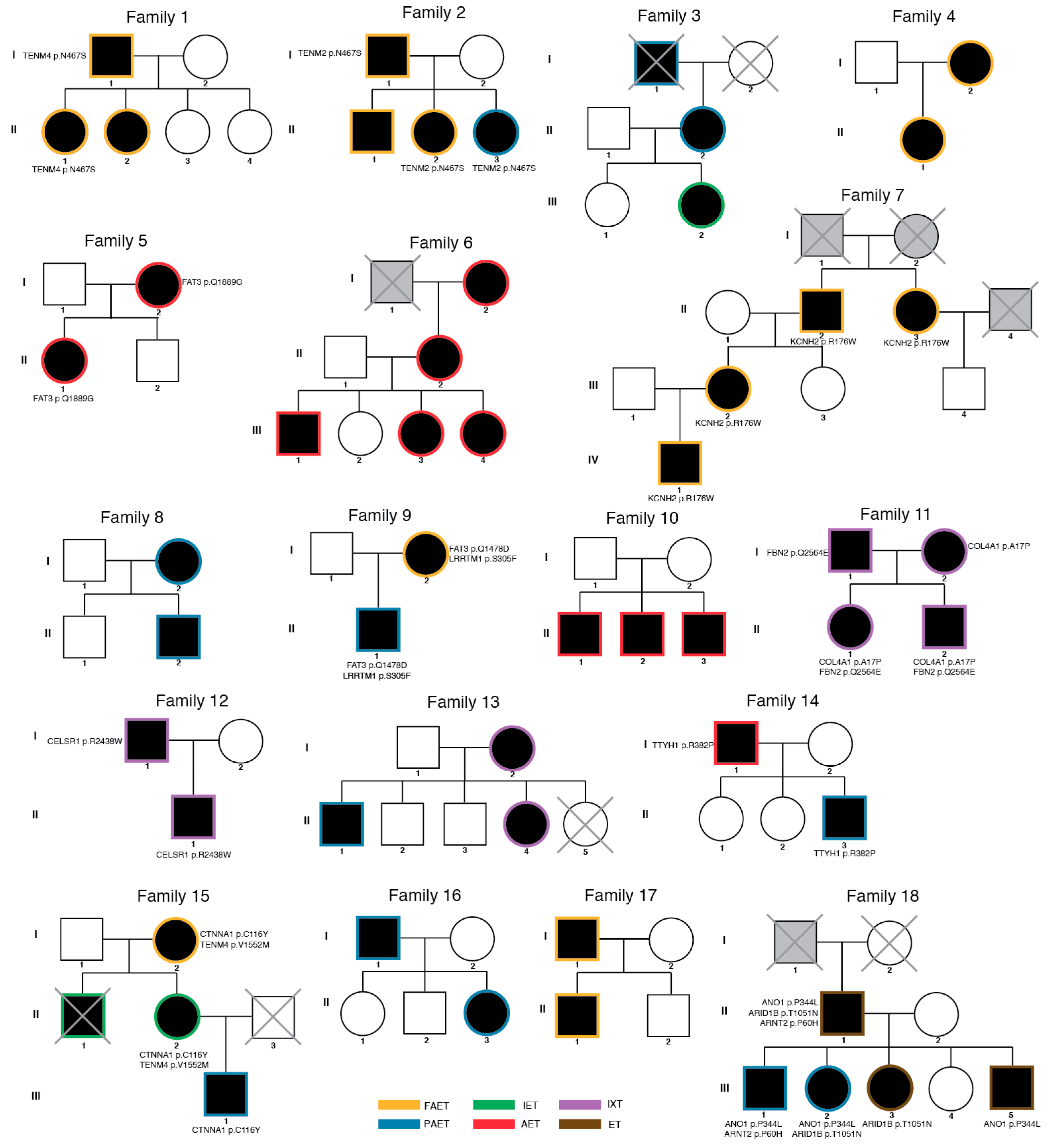 Genes 12 00075 g002 Genes 12 00075 g002