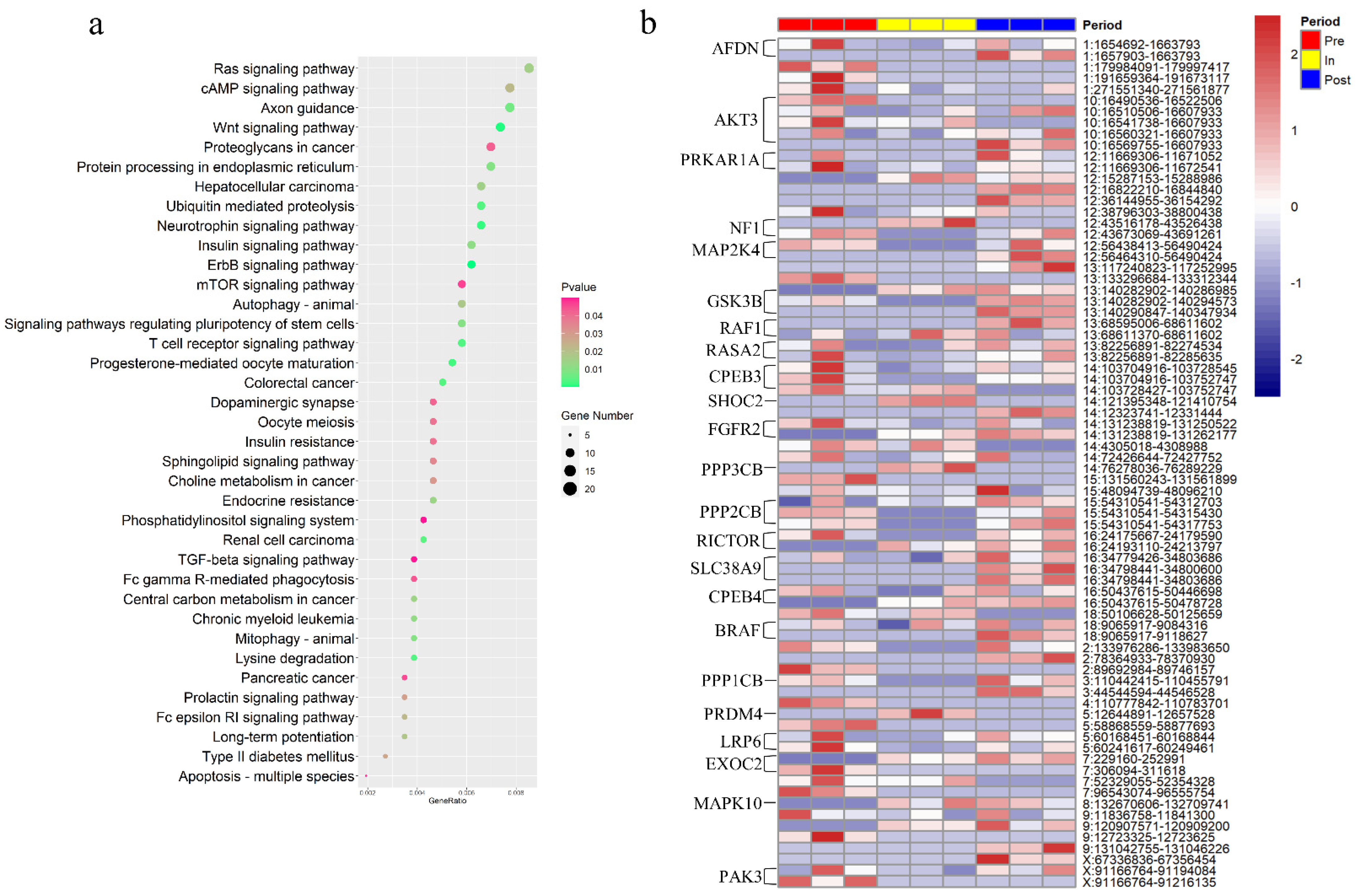 Genes 12 00084 g002 Genes 12 00084 g002