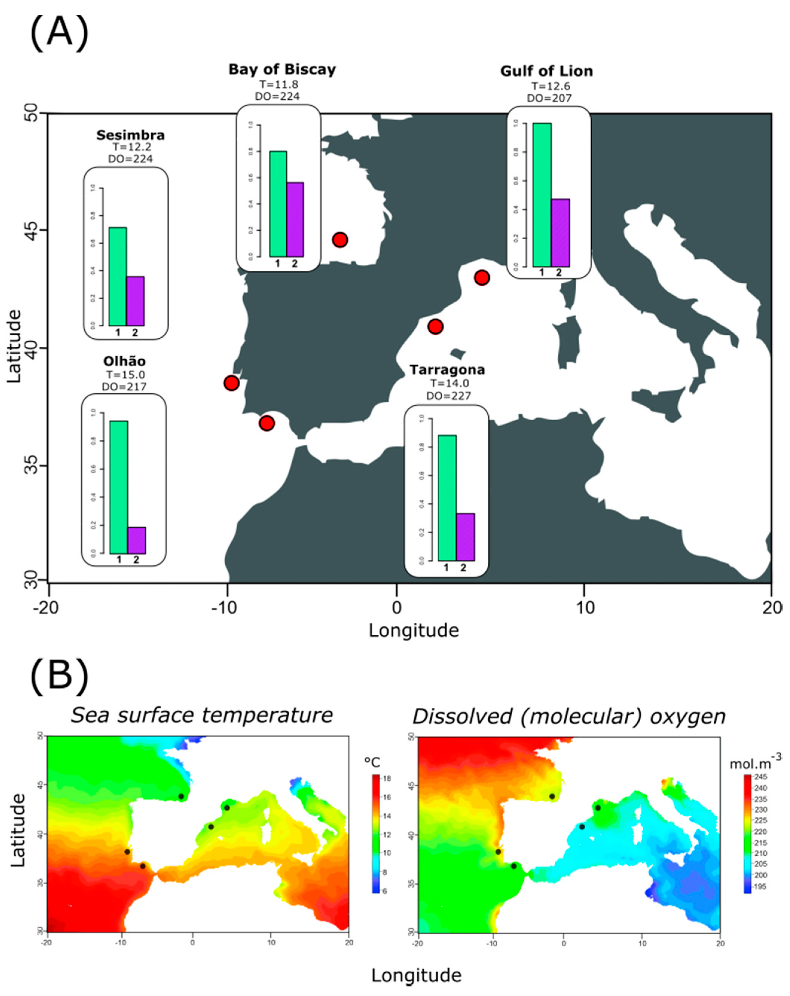 Genes 12 00091 g001 Genes 12 00091 g001