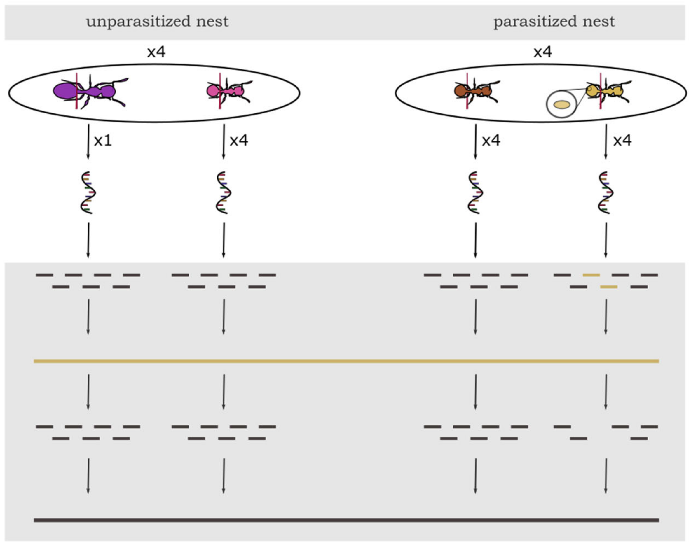 Genes 12 00095 g001