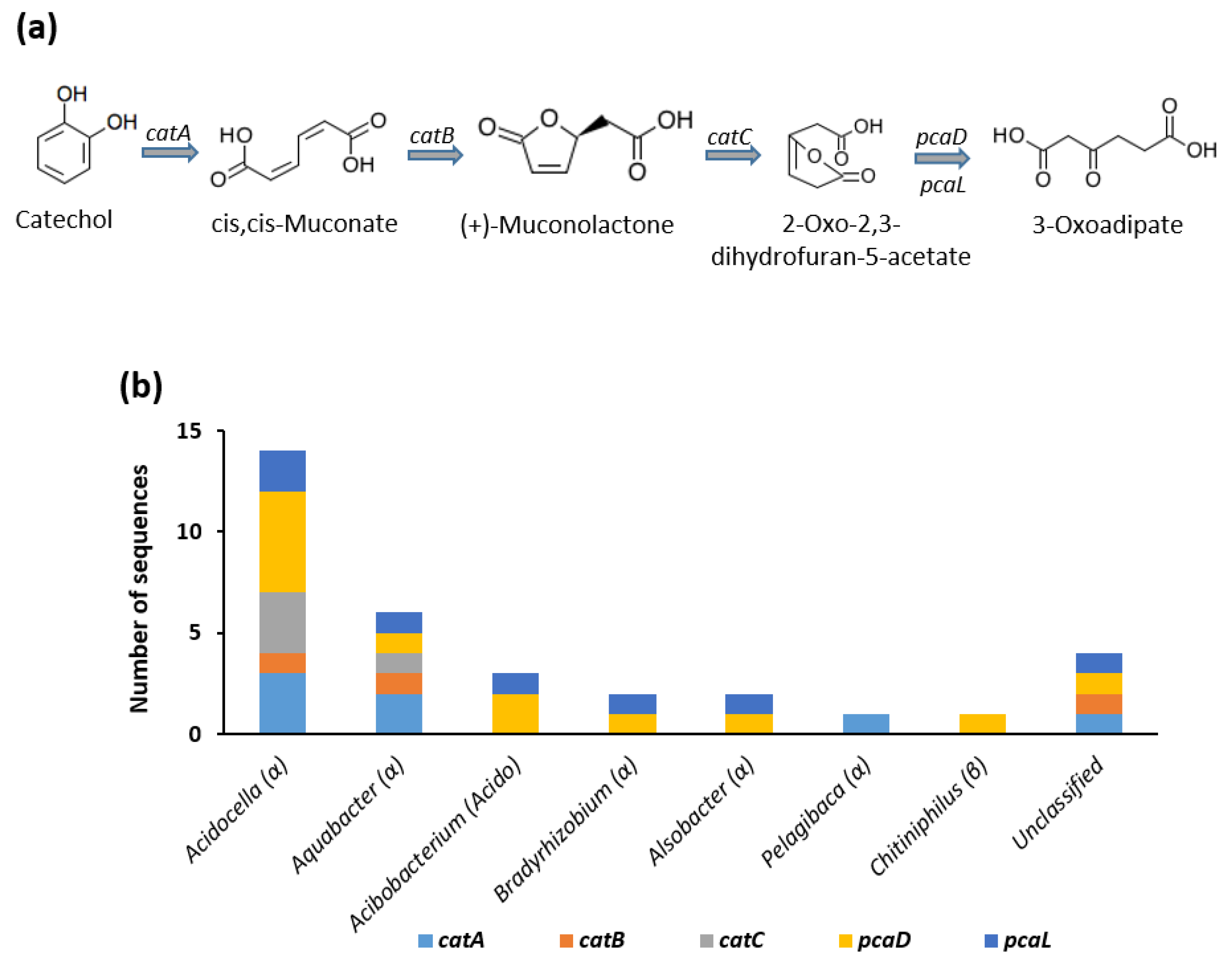 Genes 12 00098 g003