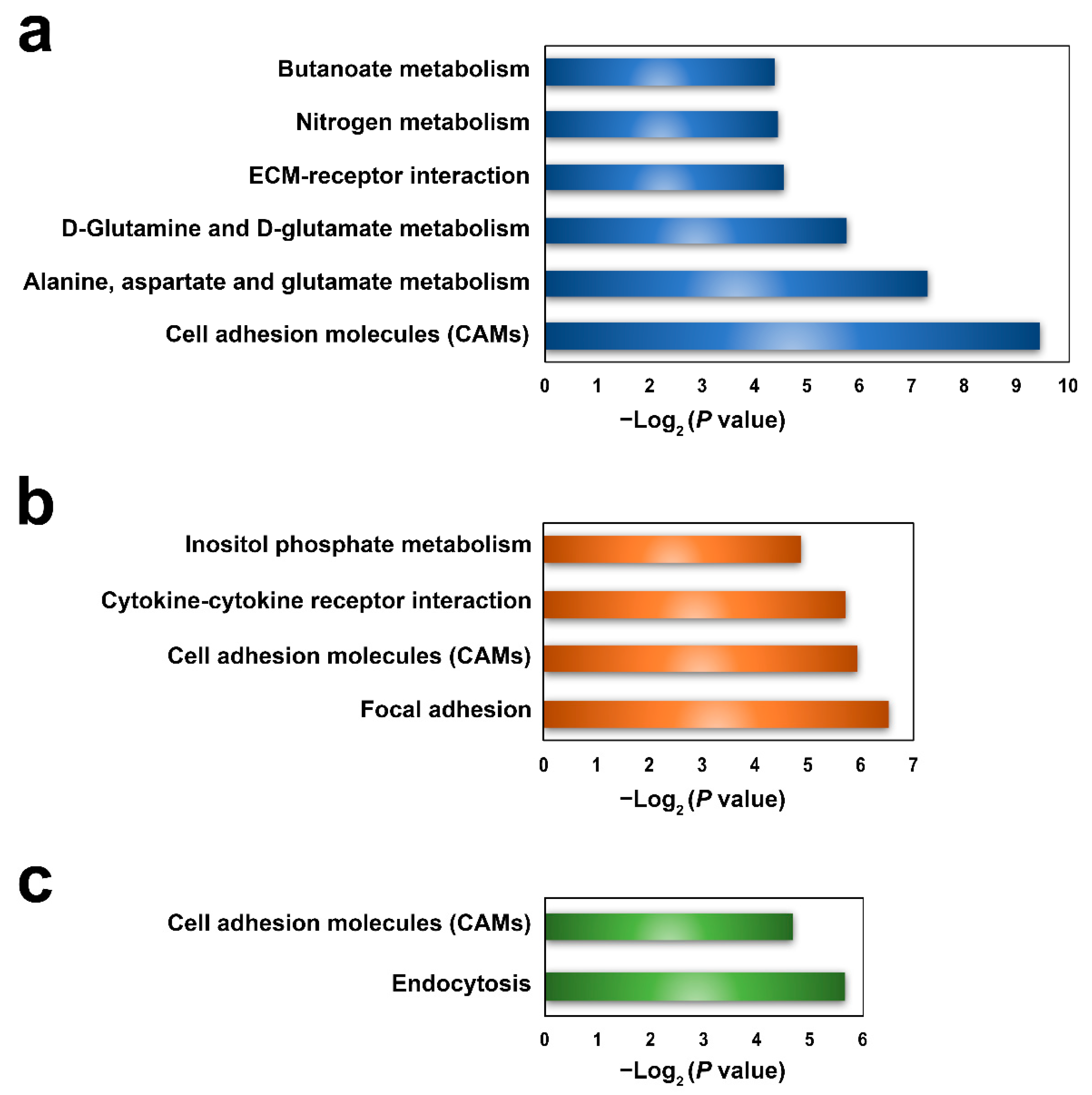 Genes 12 00100 g004 Genes 12 00100 g004