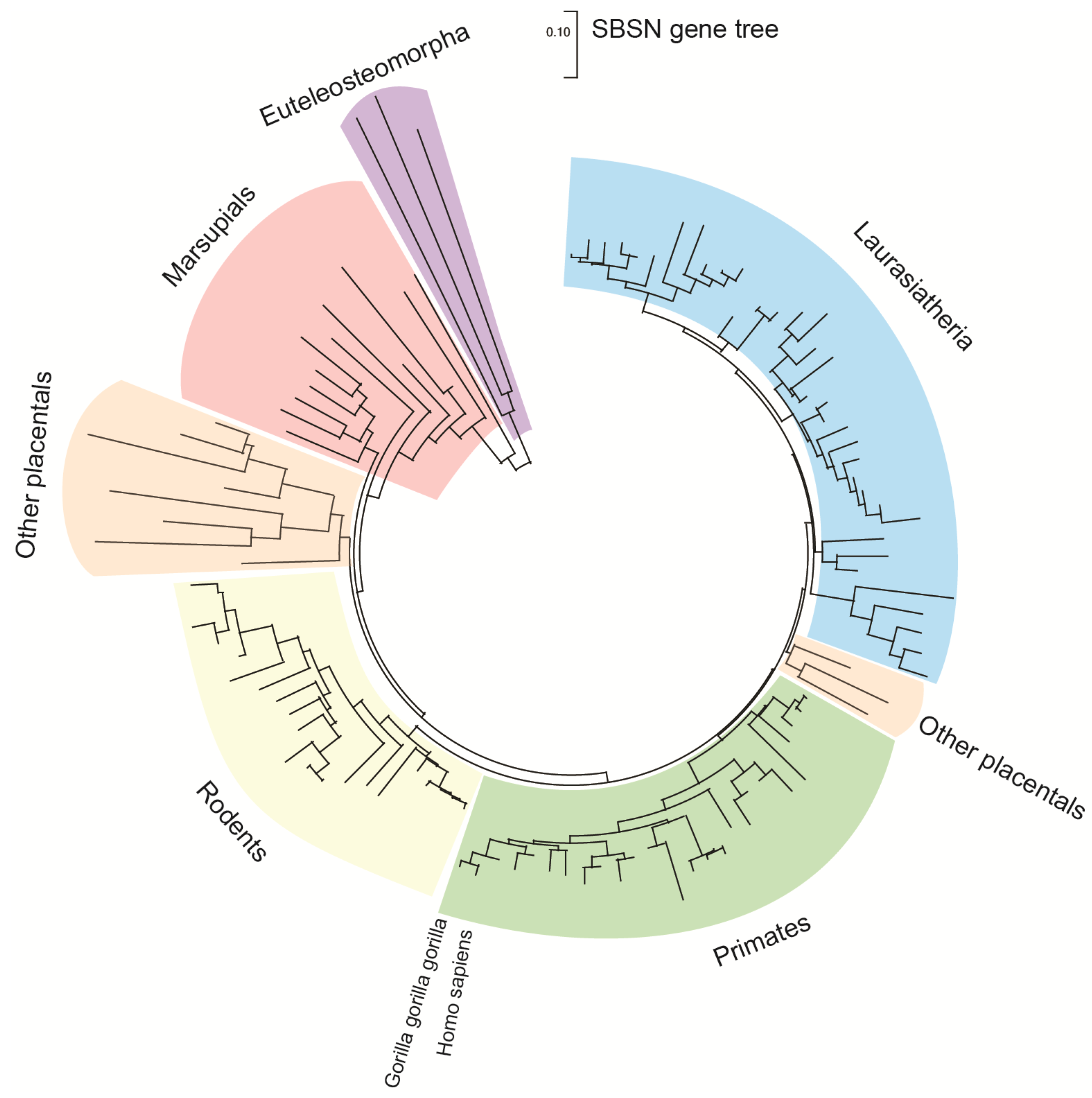 Genes 12 00108 g001 Genes 12 00108 g001