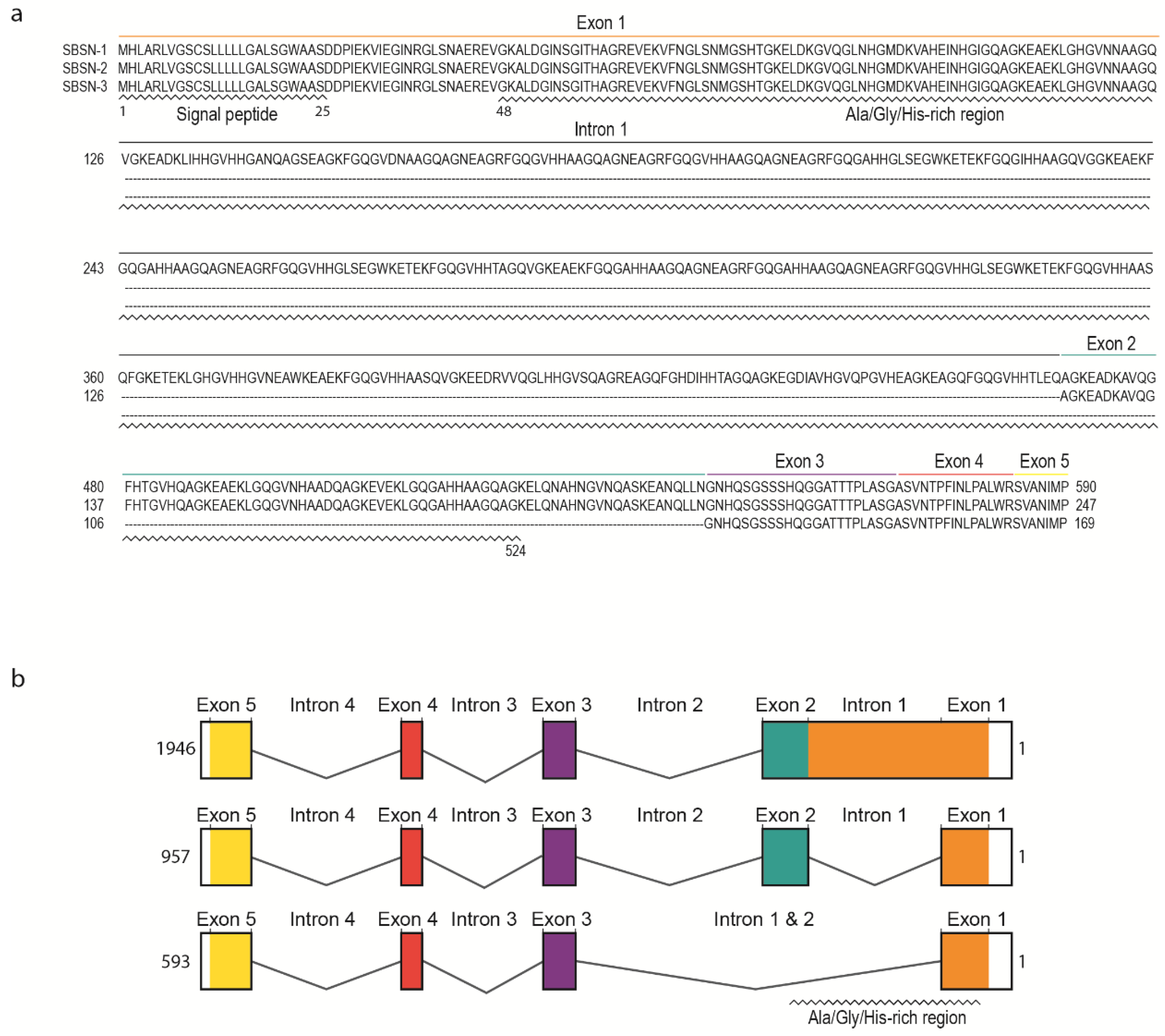 Genes 12 00108 g002 Genes 12 00108 g002