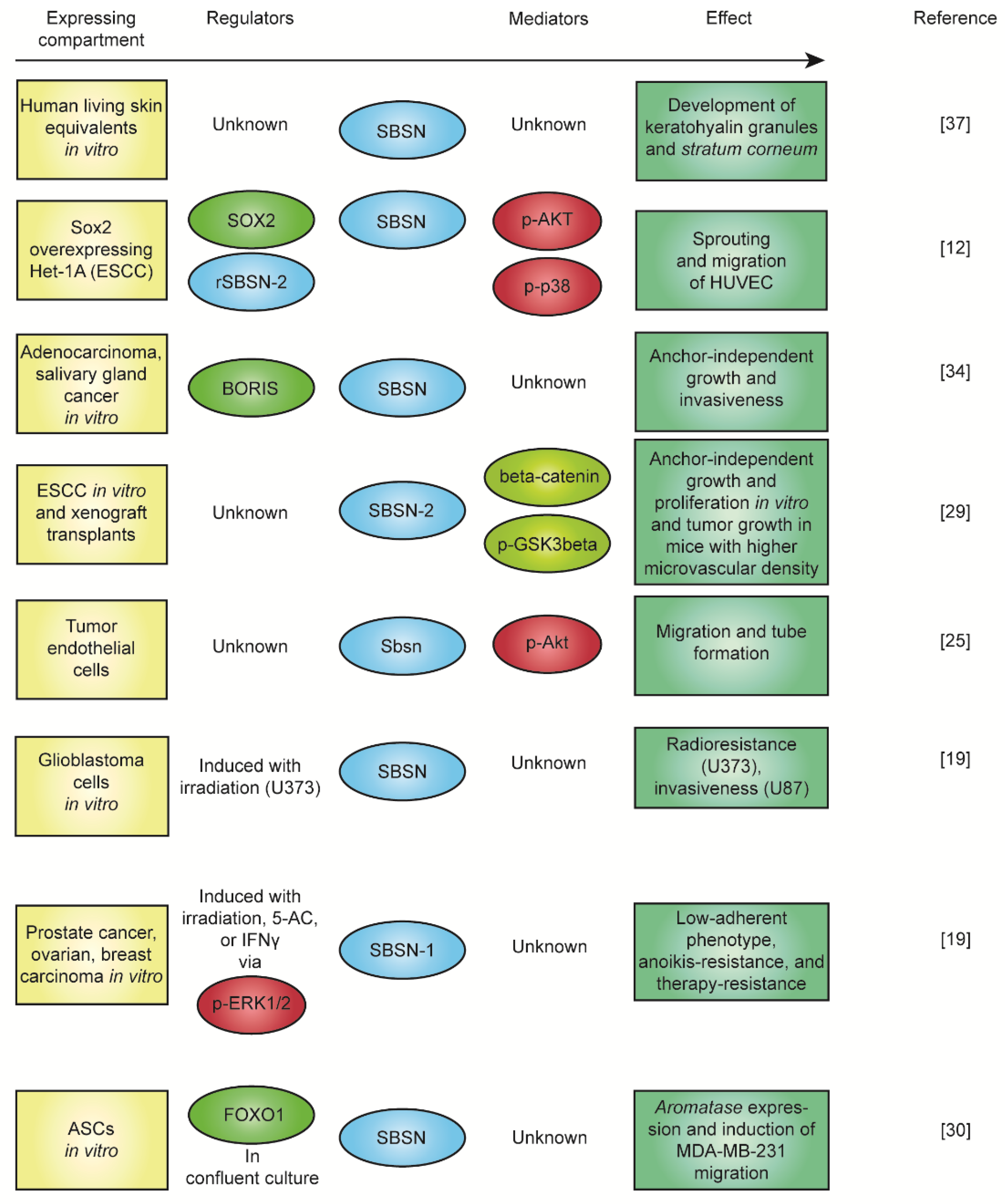 Genes 12 00108 g004 Genes 12 00108 g004