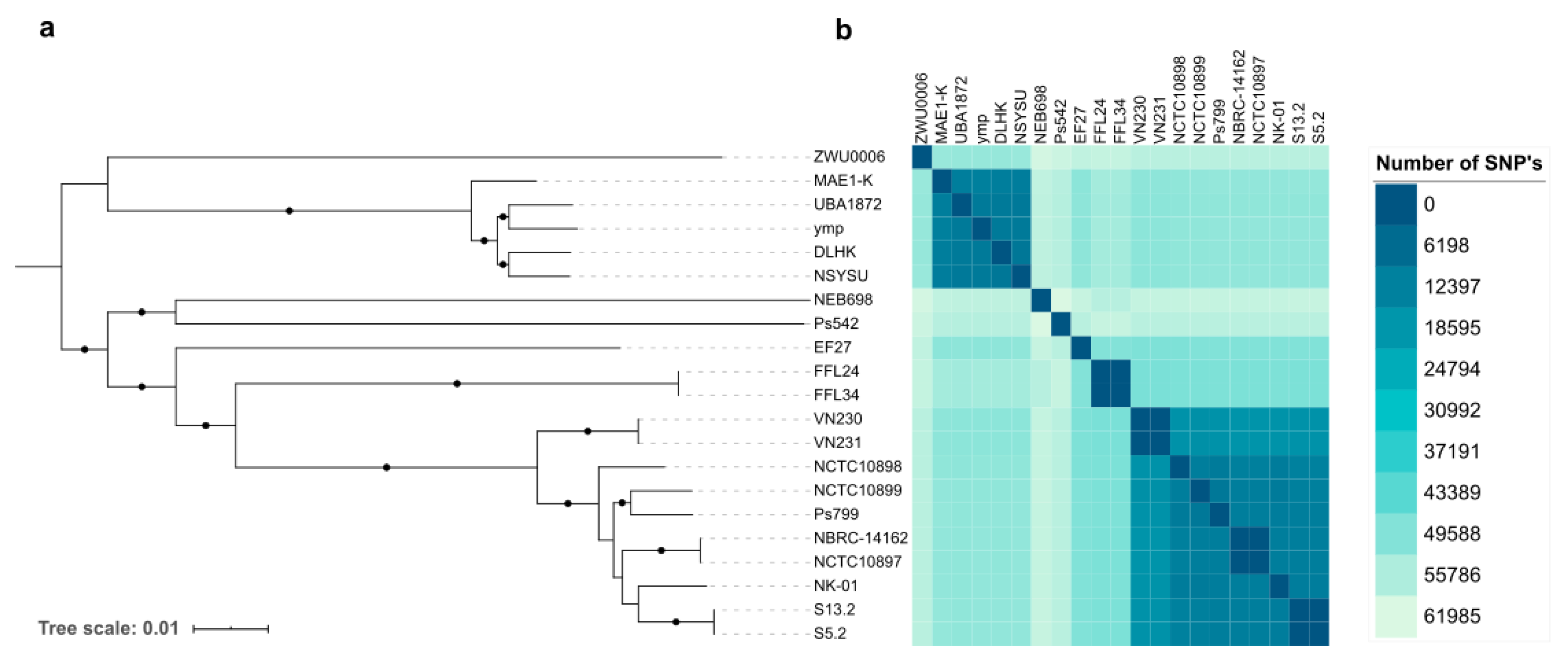 Genes 12 00115 g001