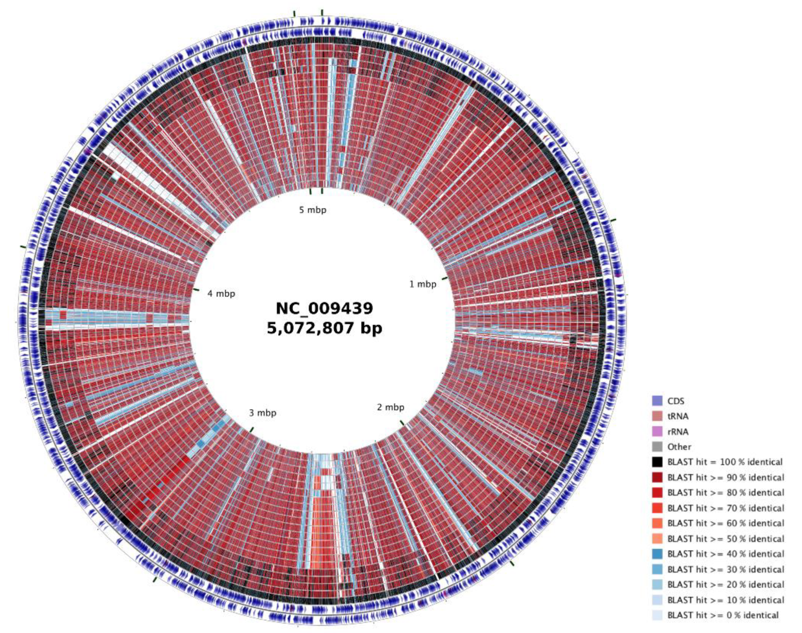 Genes 12 00115 g002