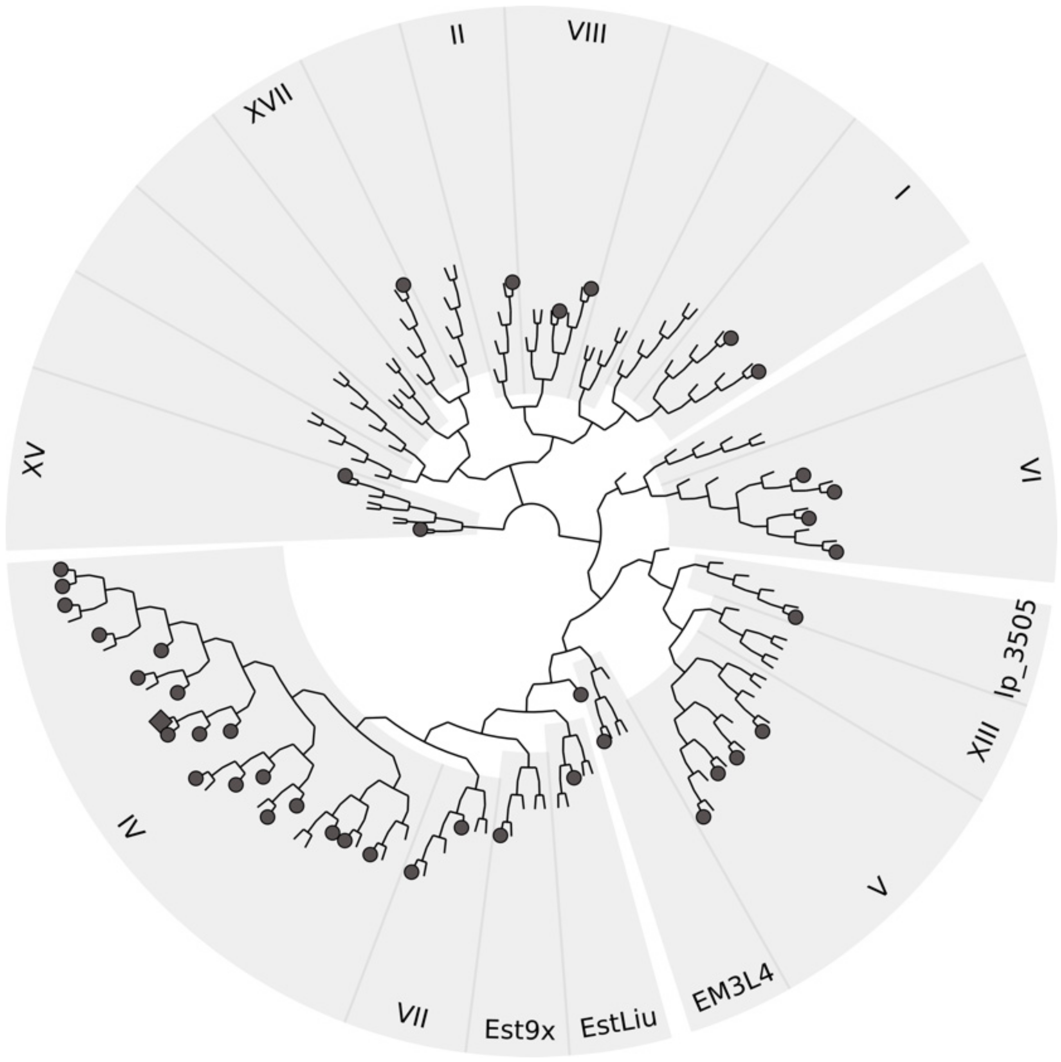 Genes 12 00122 g003 Genes 12 00122 g003