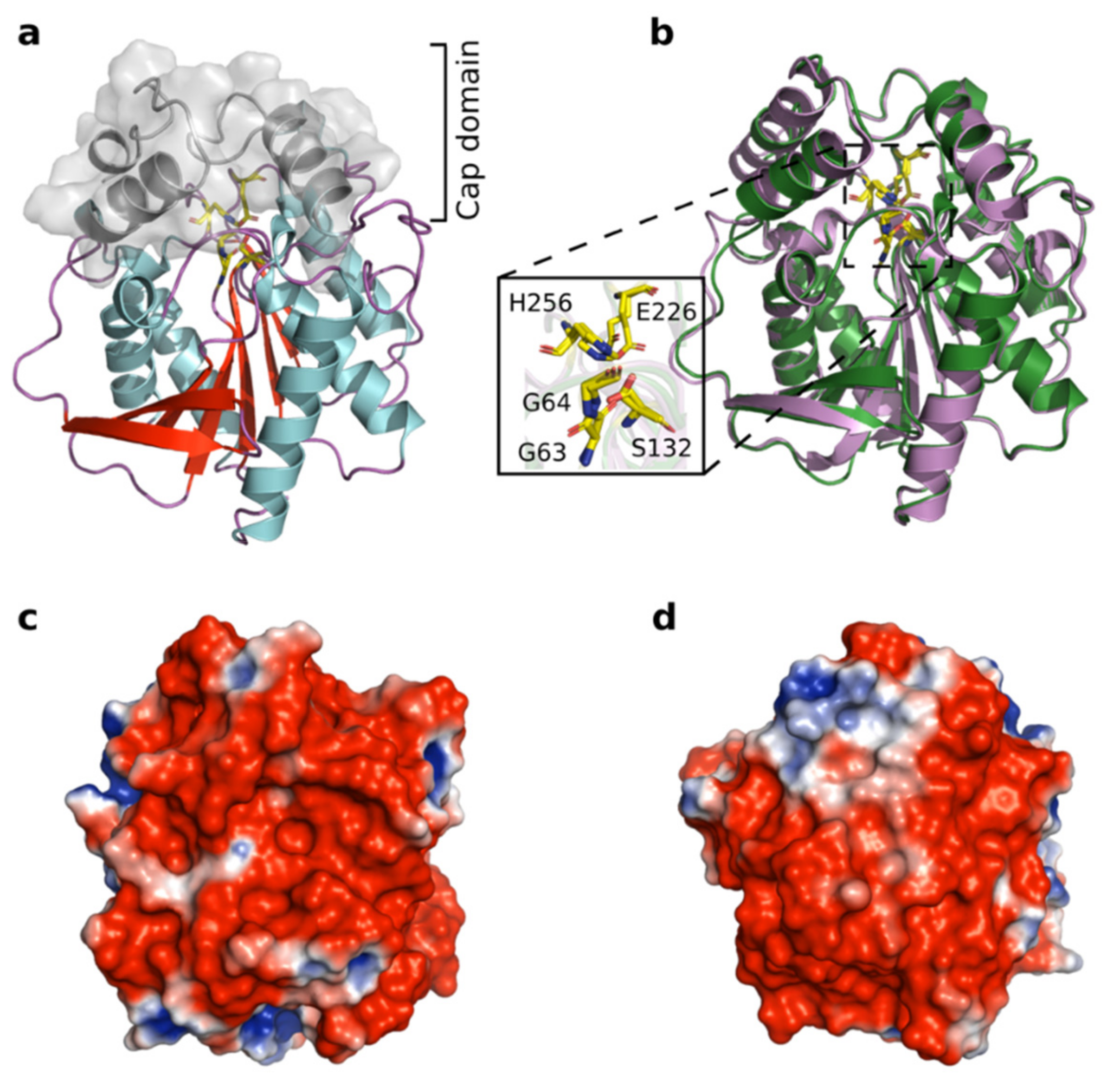 Genes 12 00122 g005 Genes 12 00122 g005