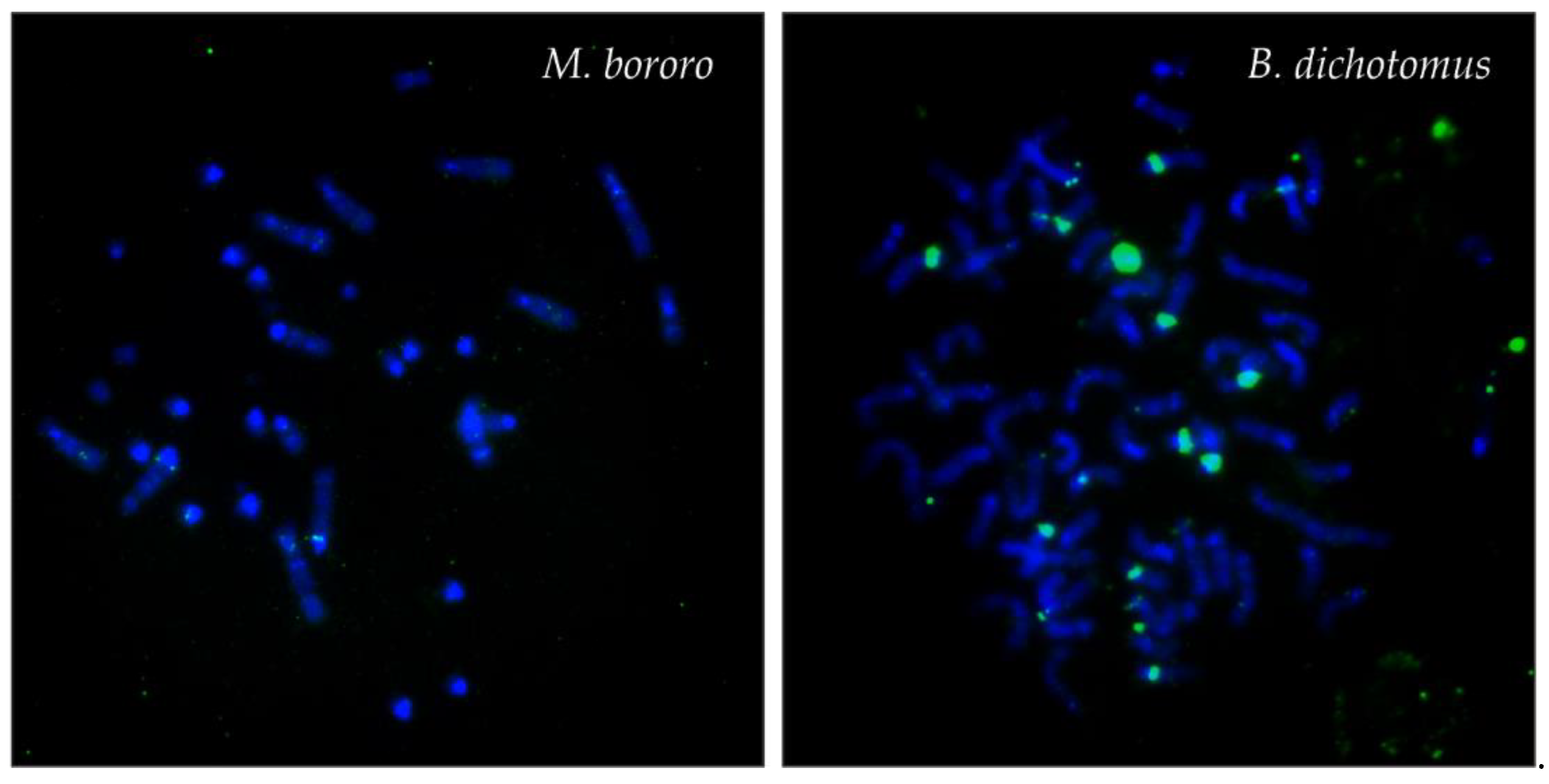 Genes 12 00123 g003 Genes 12 00123 g003