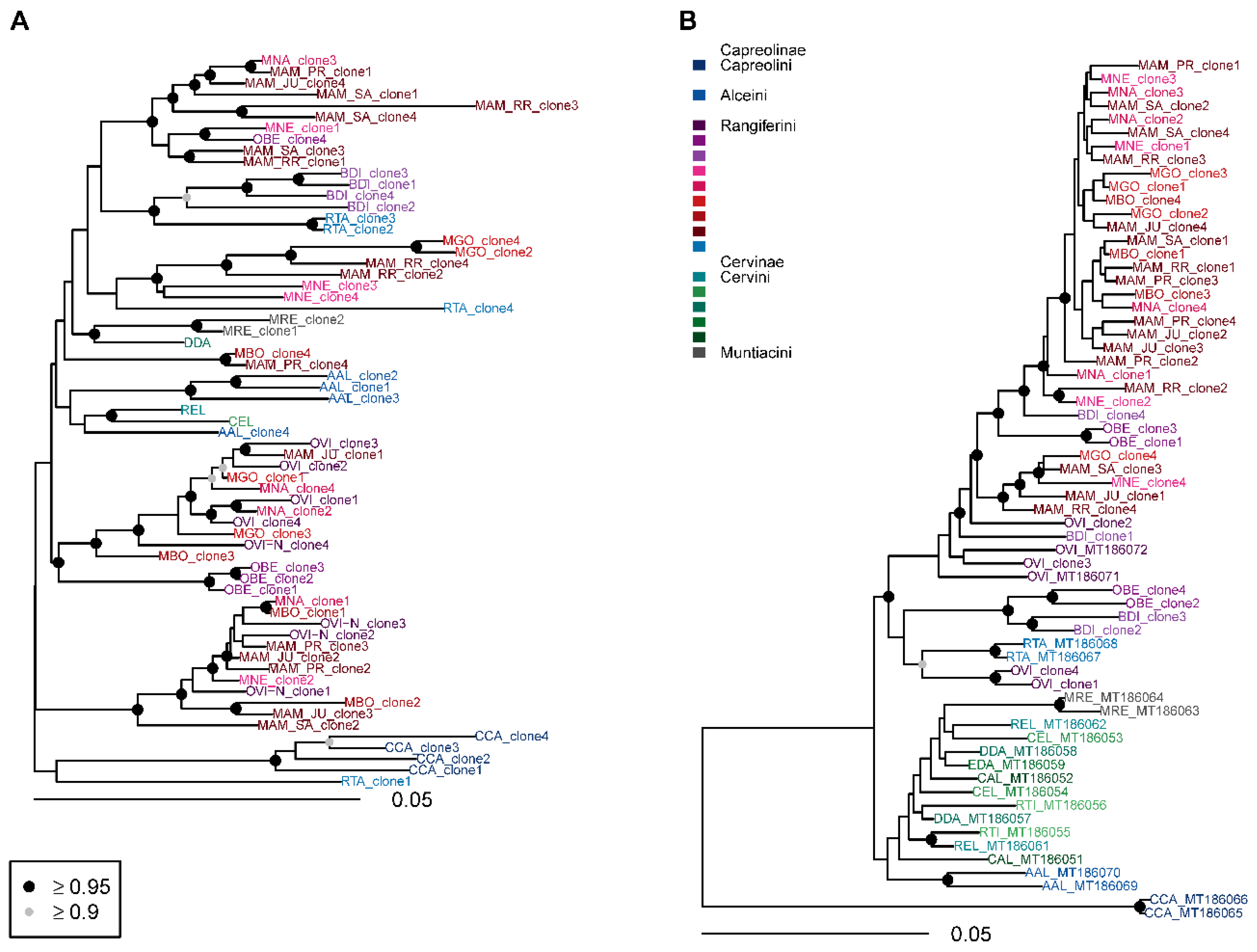 Genes 12 00123 g006 Genes 12 00123 g006