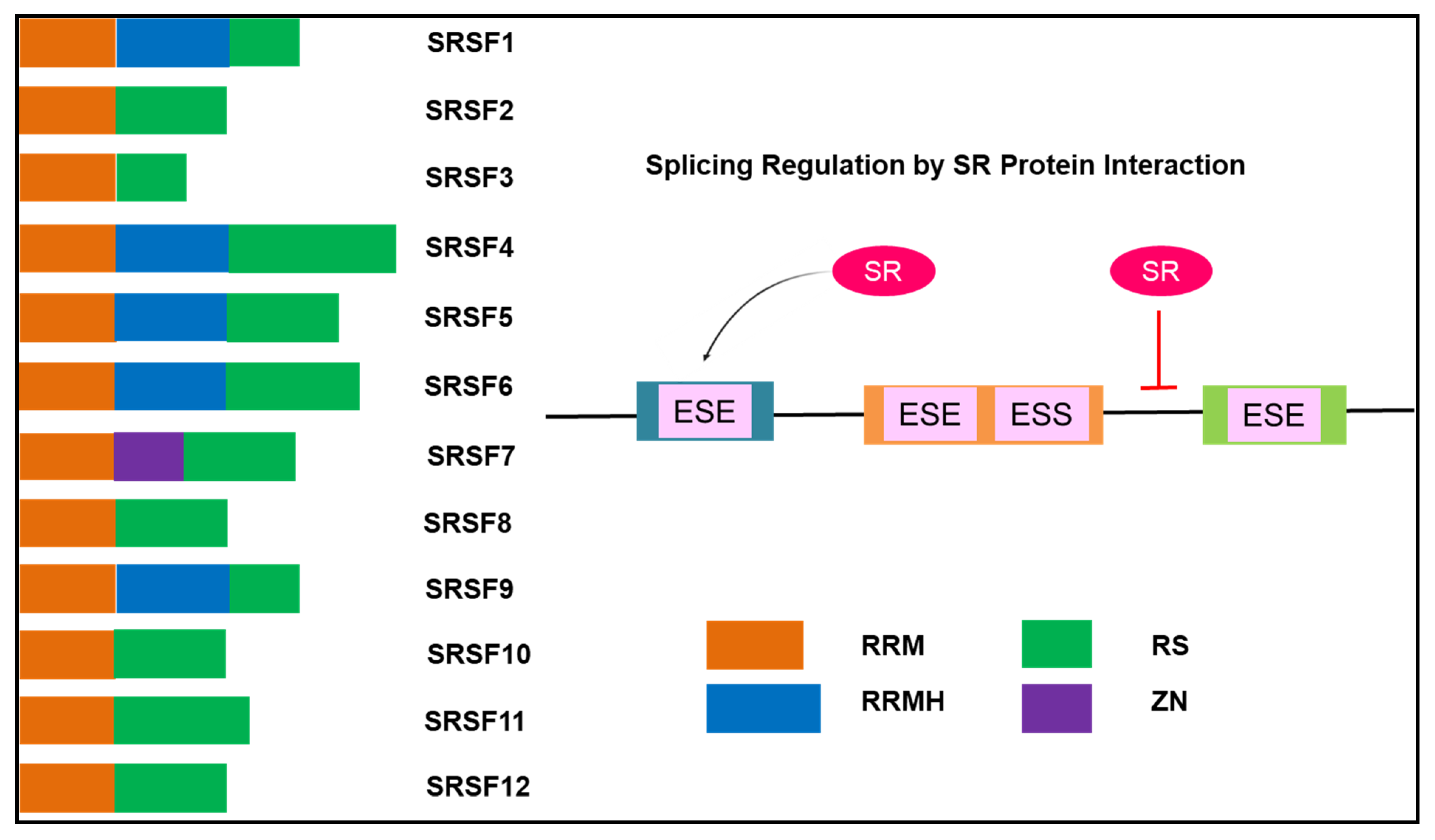 Serum serial number splice manualnonli