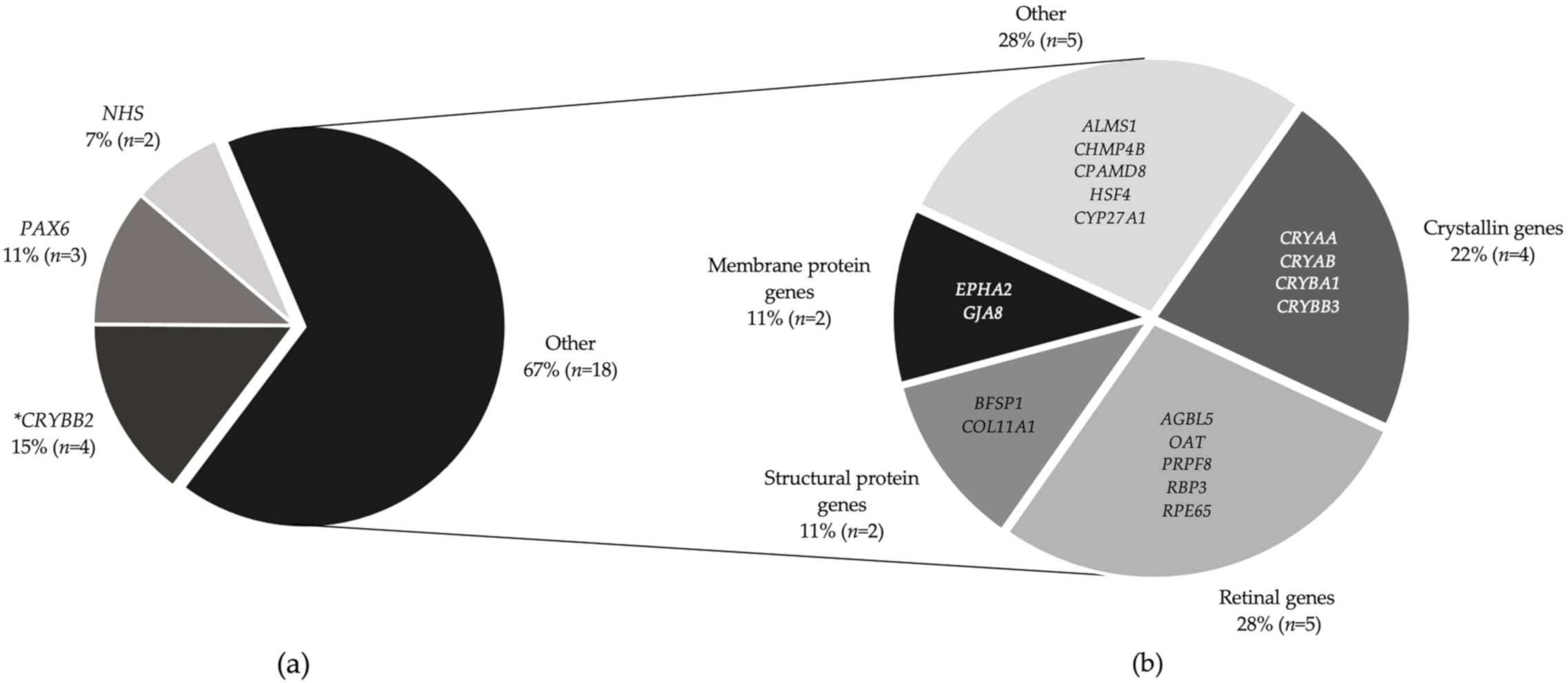 Genes 12 00131 g002