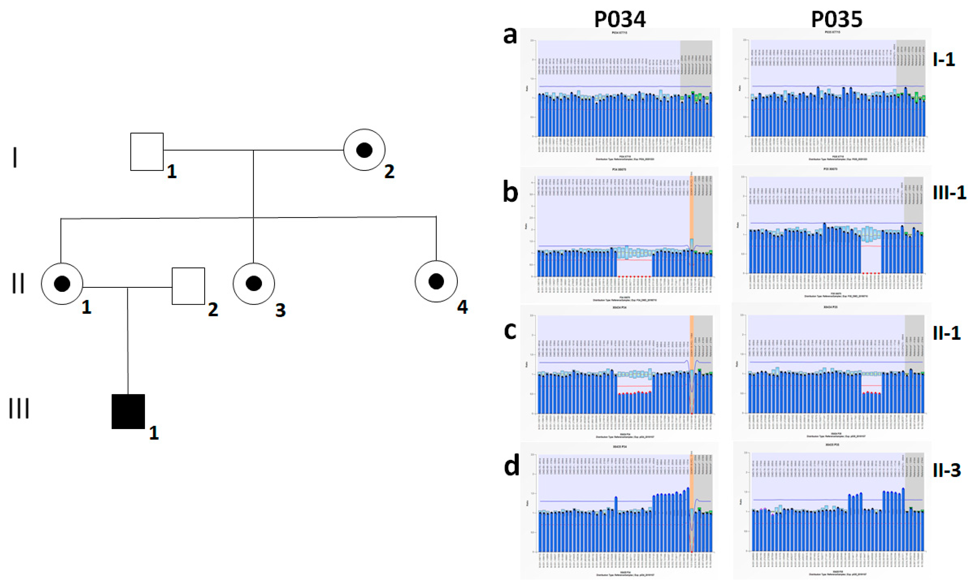 Genes 12 00133 g001 Genes 12 00133 g001