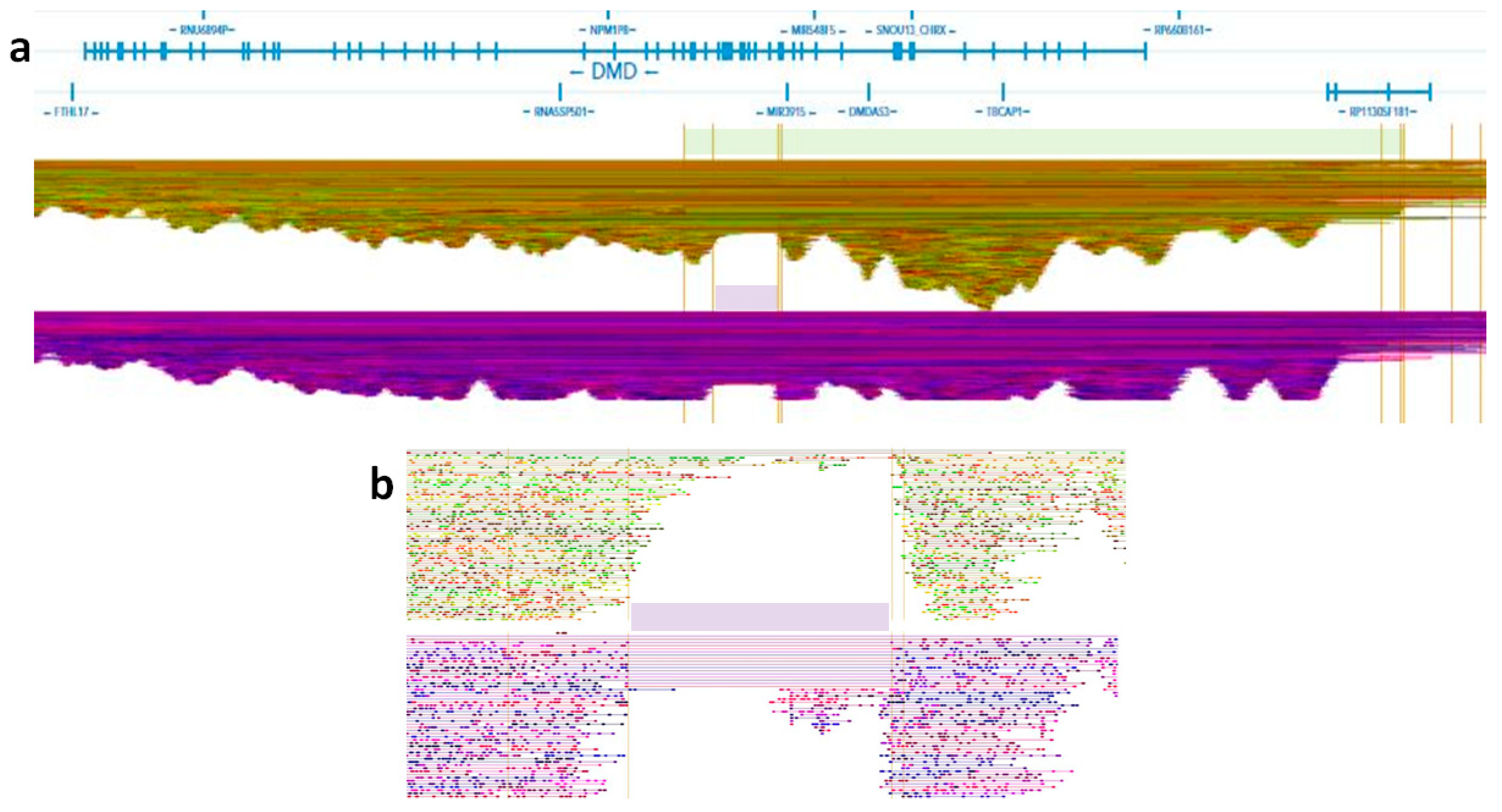 Genes 12 00133 g004 Genes 12 00133 g004