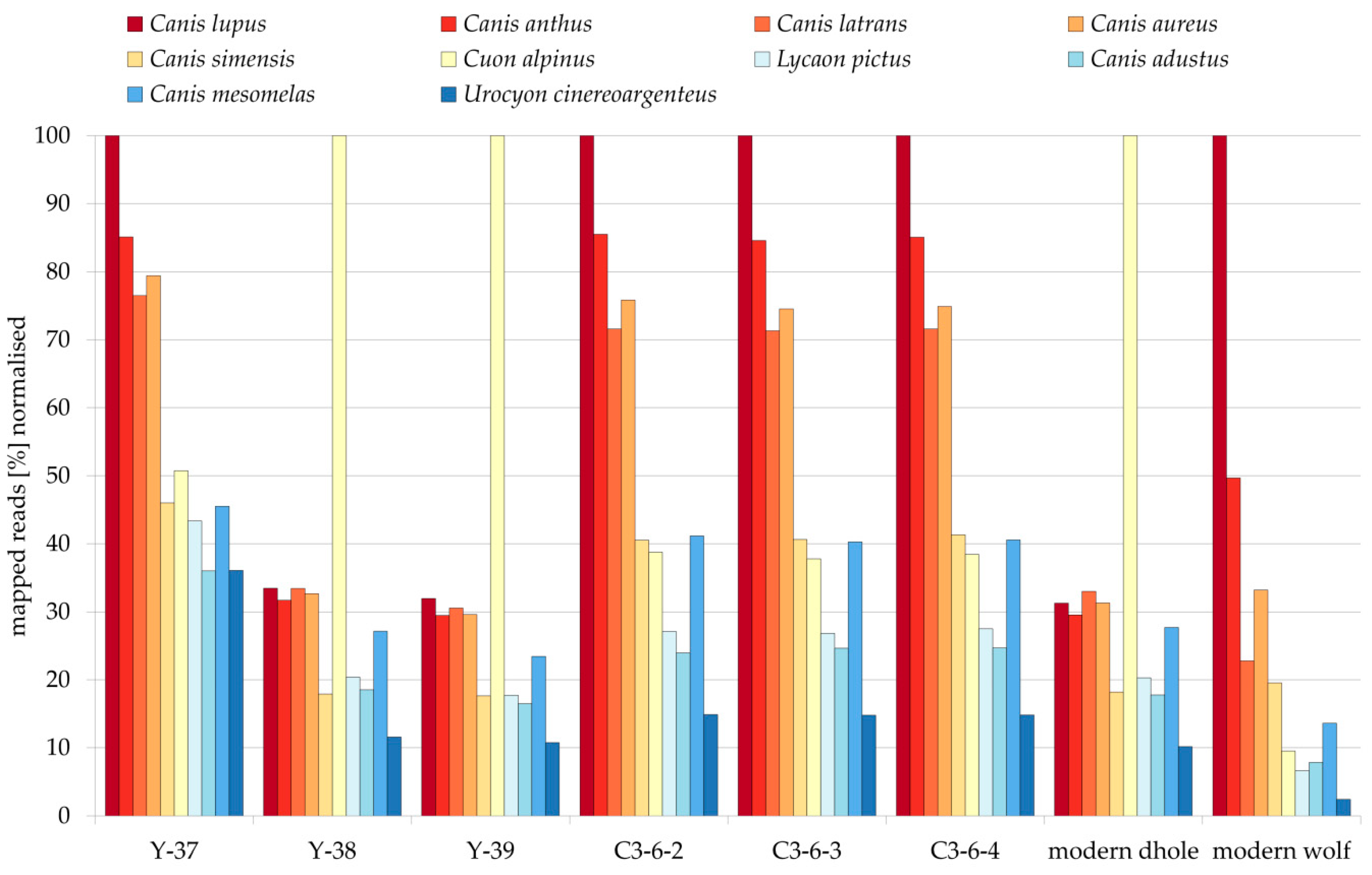 Genes 12 00144 g001