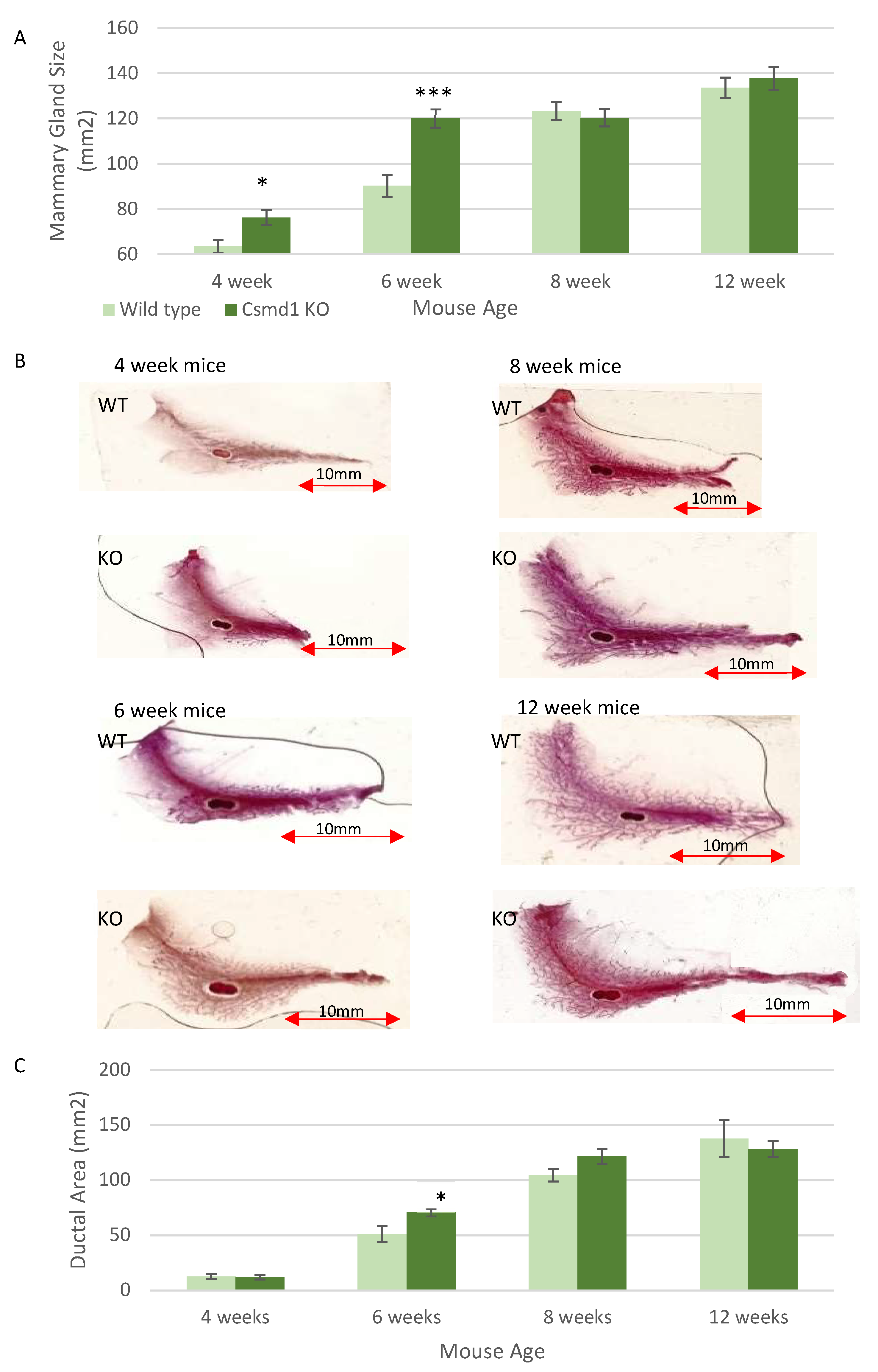 Genes 12 00162 g002 Genes 12 00162 g002