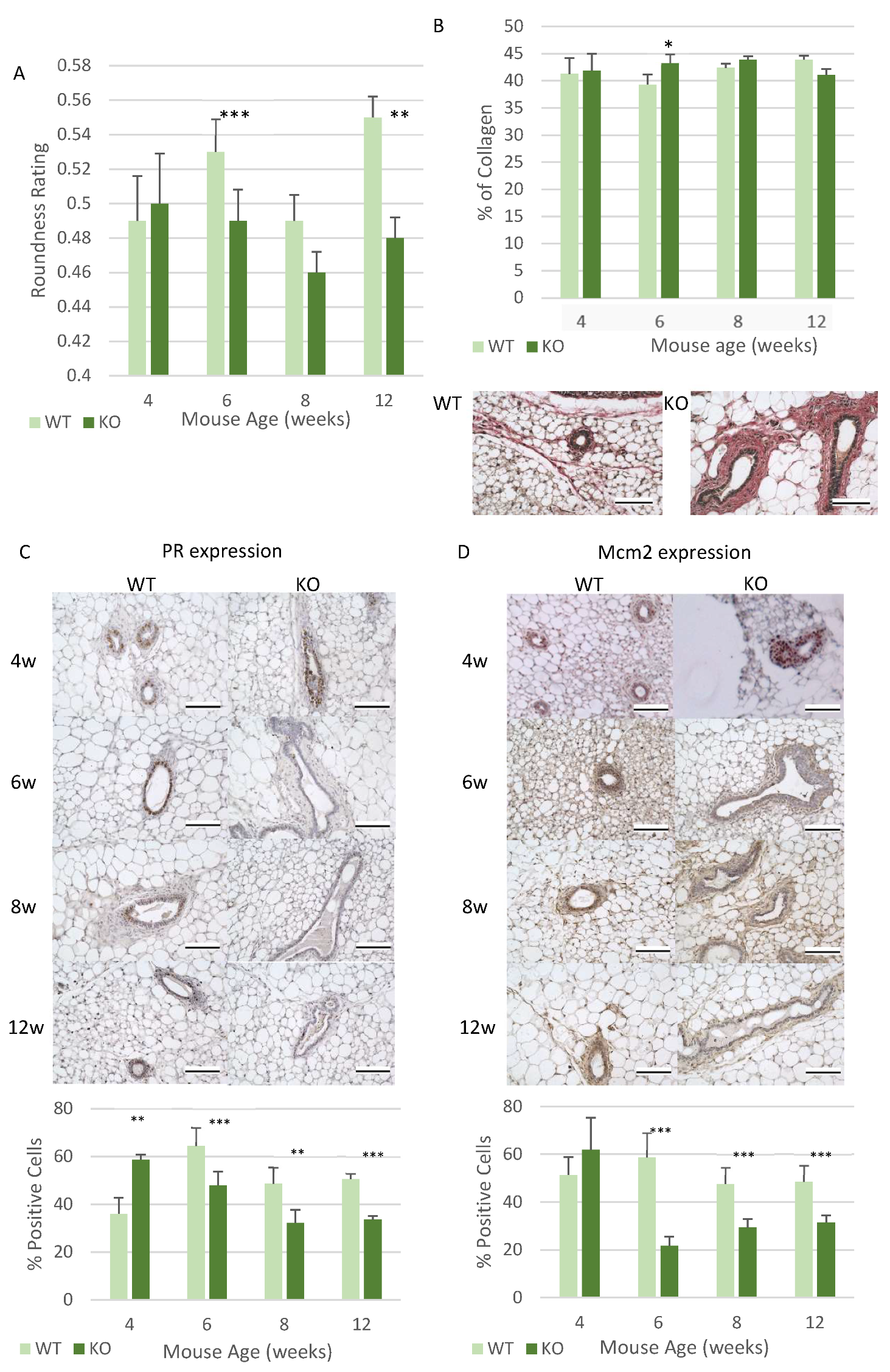 Genes 12 00162 g004 Genes 12 00162 g004
