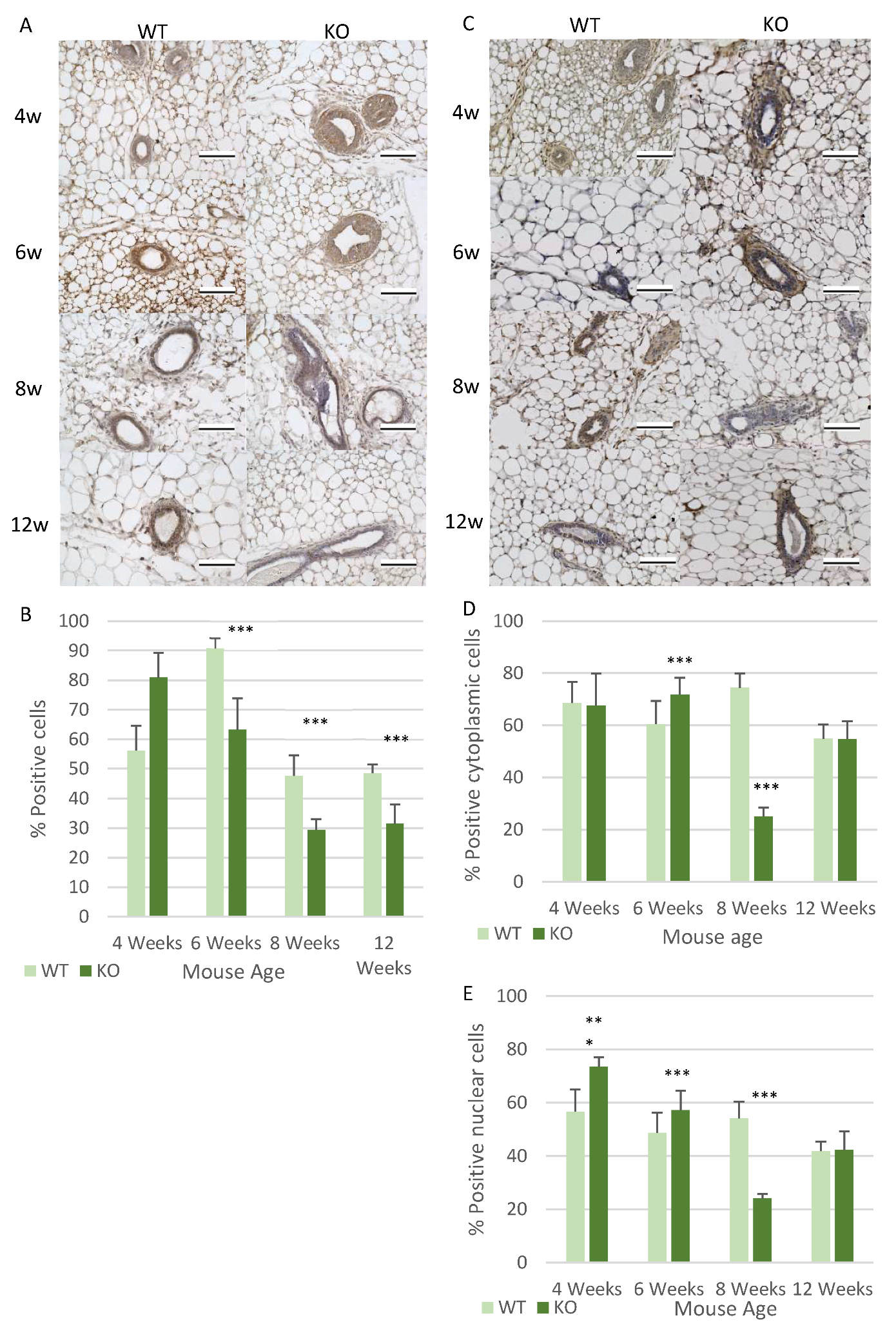Genes 12 00162 g006 Genes 12 00162 g006