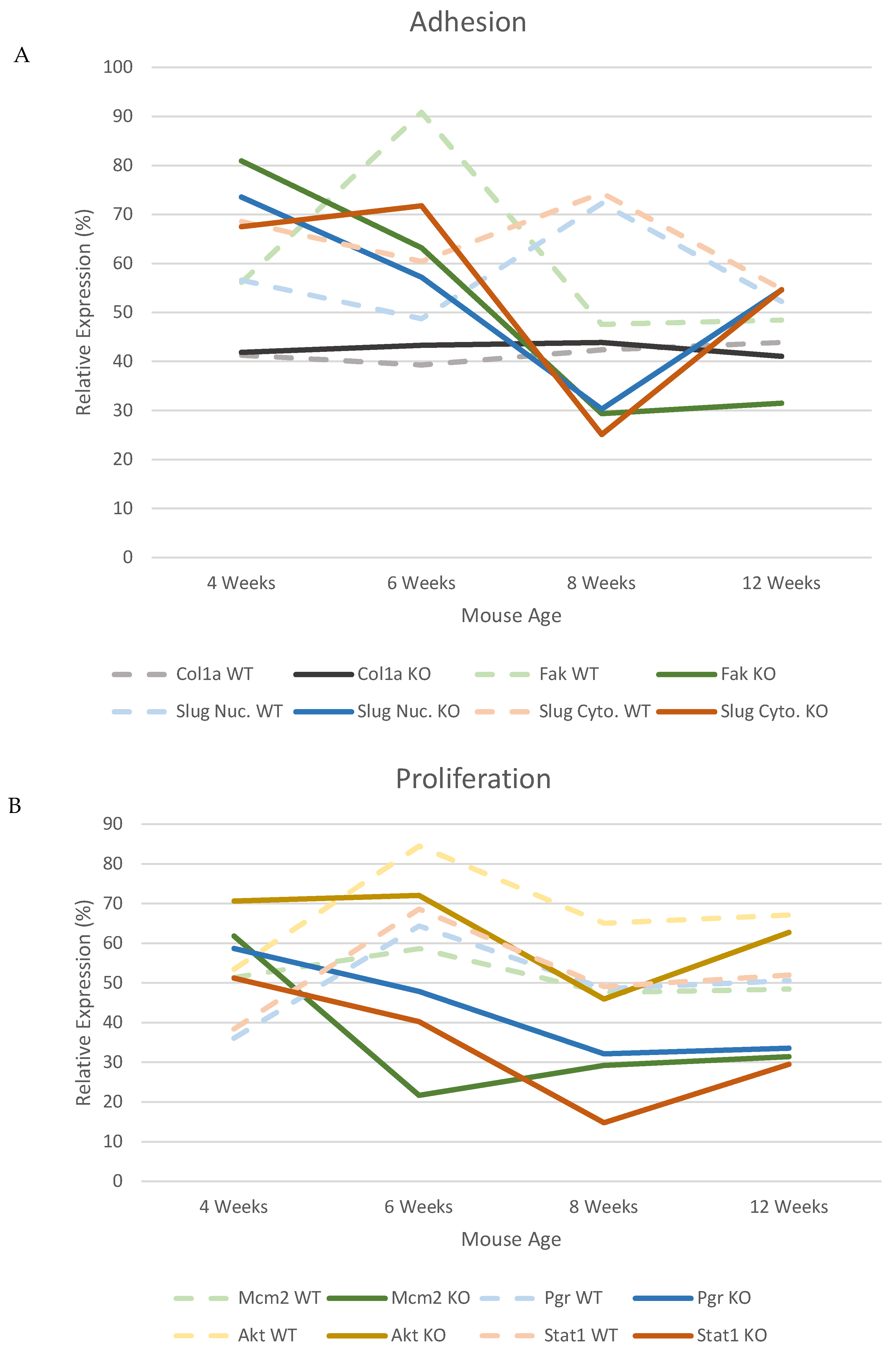 Genes 12 00162 g008 Genes 12 00162 g008