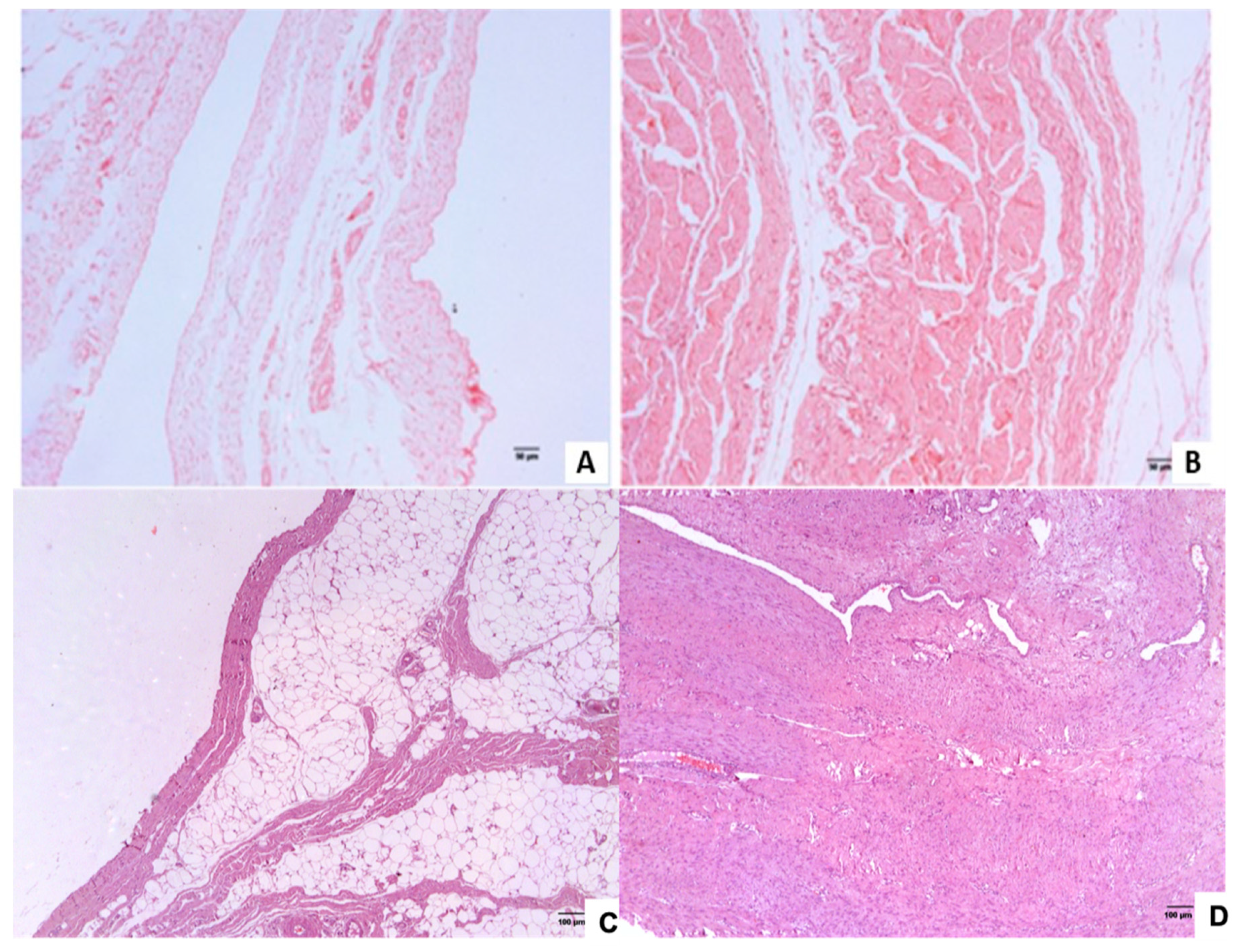 Genes 12 00166 g002