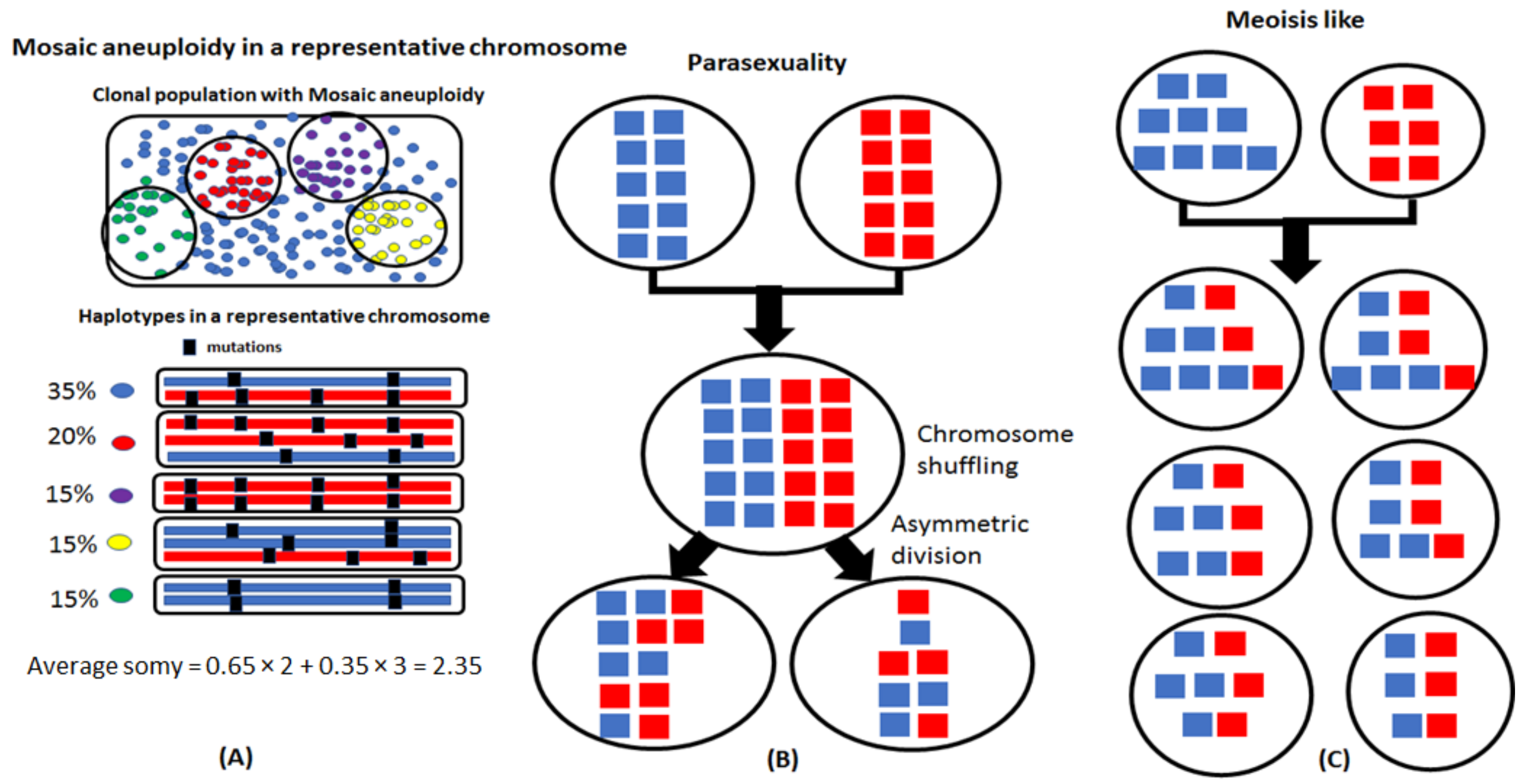 Genes 12 00167 g001 Genes 12 00167 g001