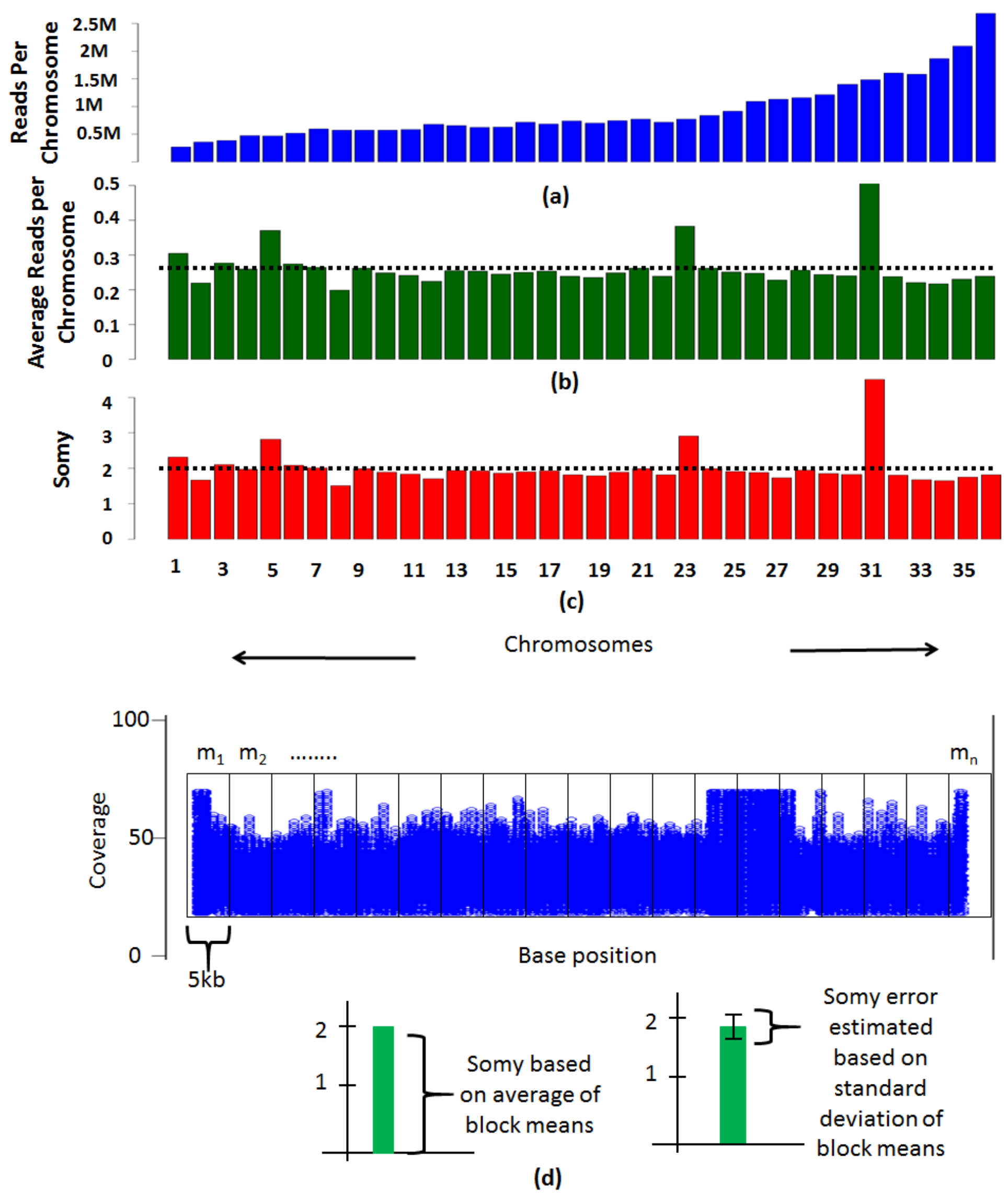 Genes 12 00167 g003 Genes 12 00167 g003