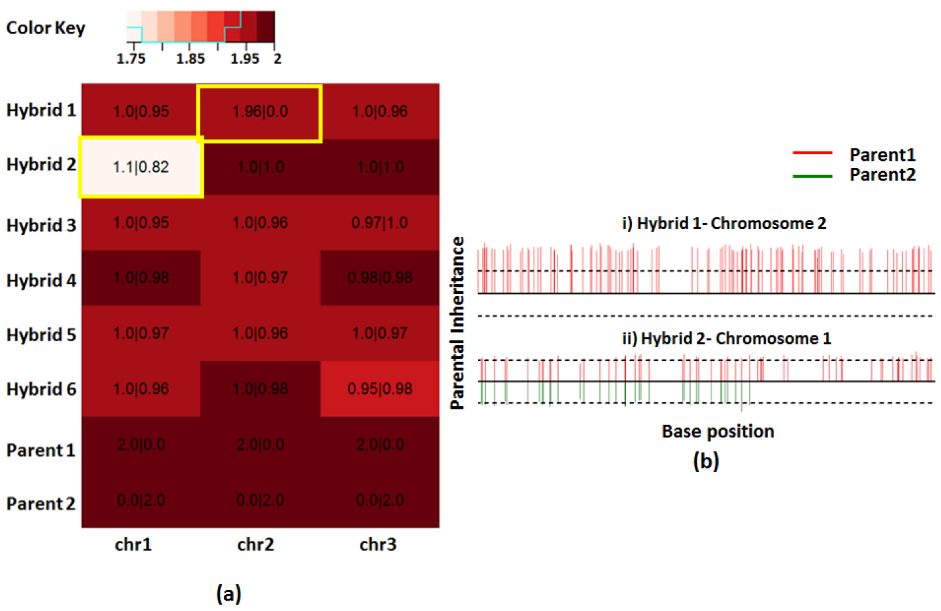 Genes 12 00167 g005 Genes 12 00167 g005