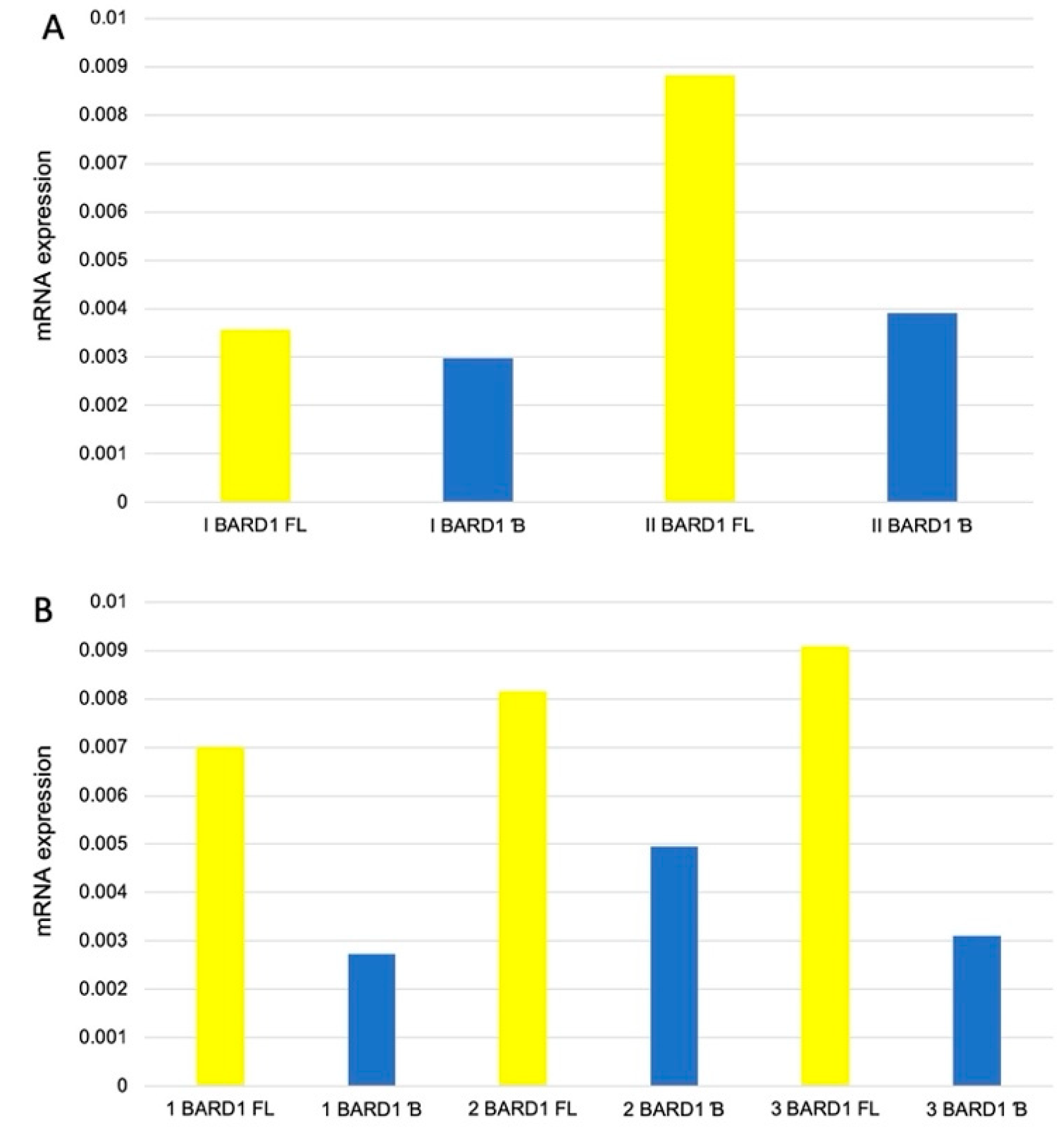 Genes 12 00168 g003