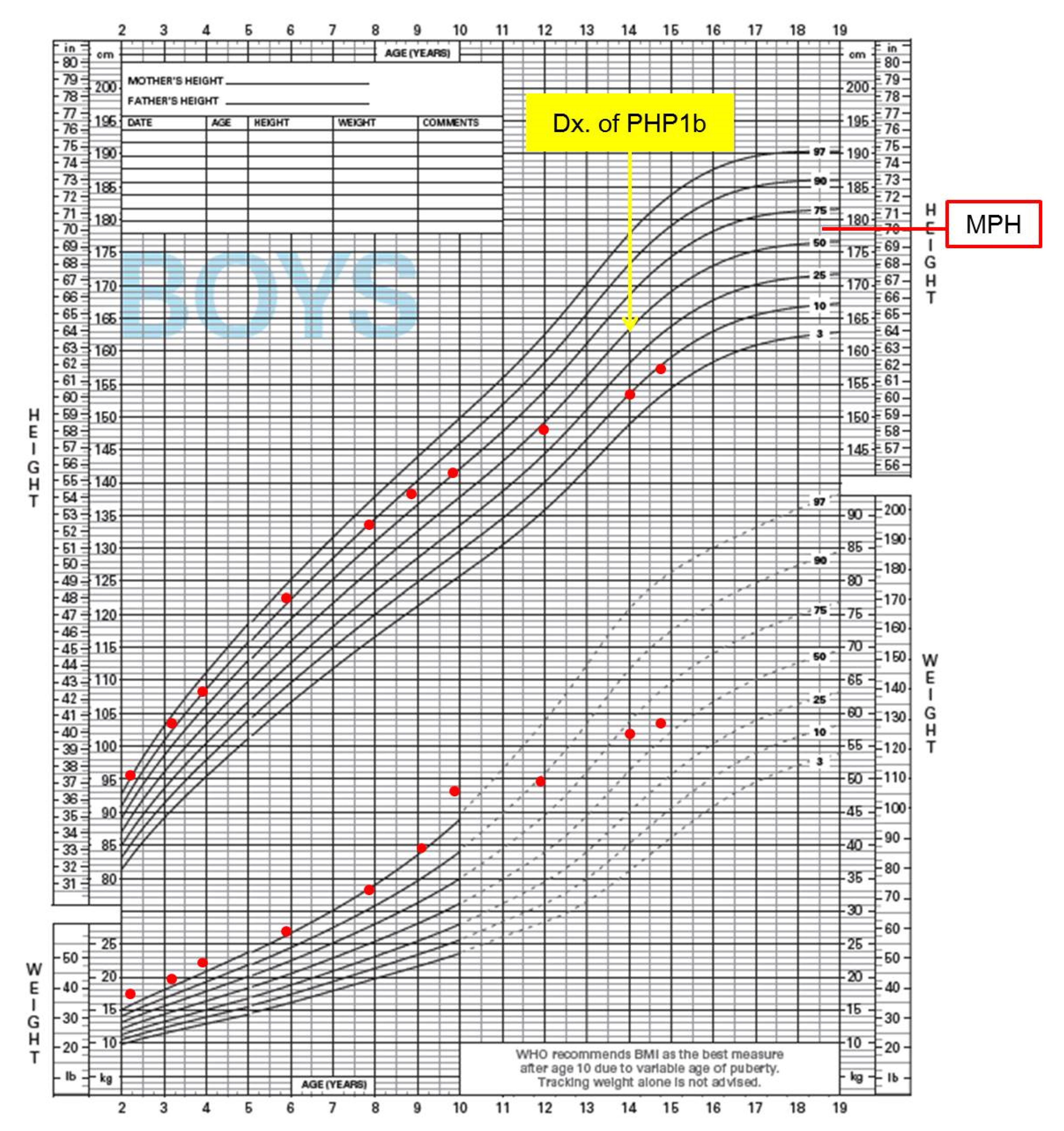 Genes 12 00172 g001 Genes 12 00172 g001