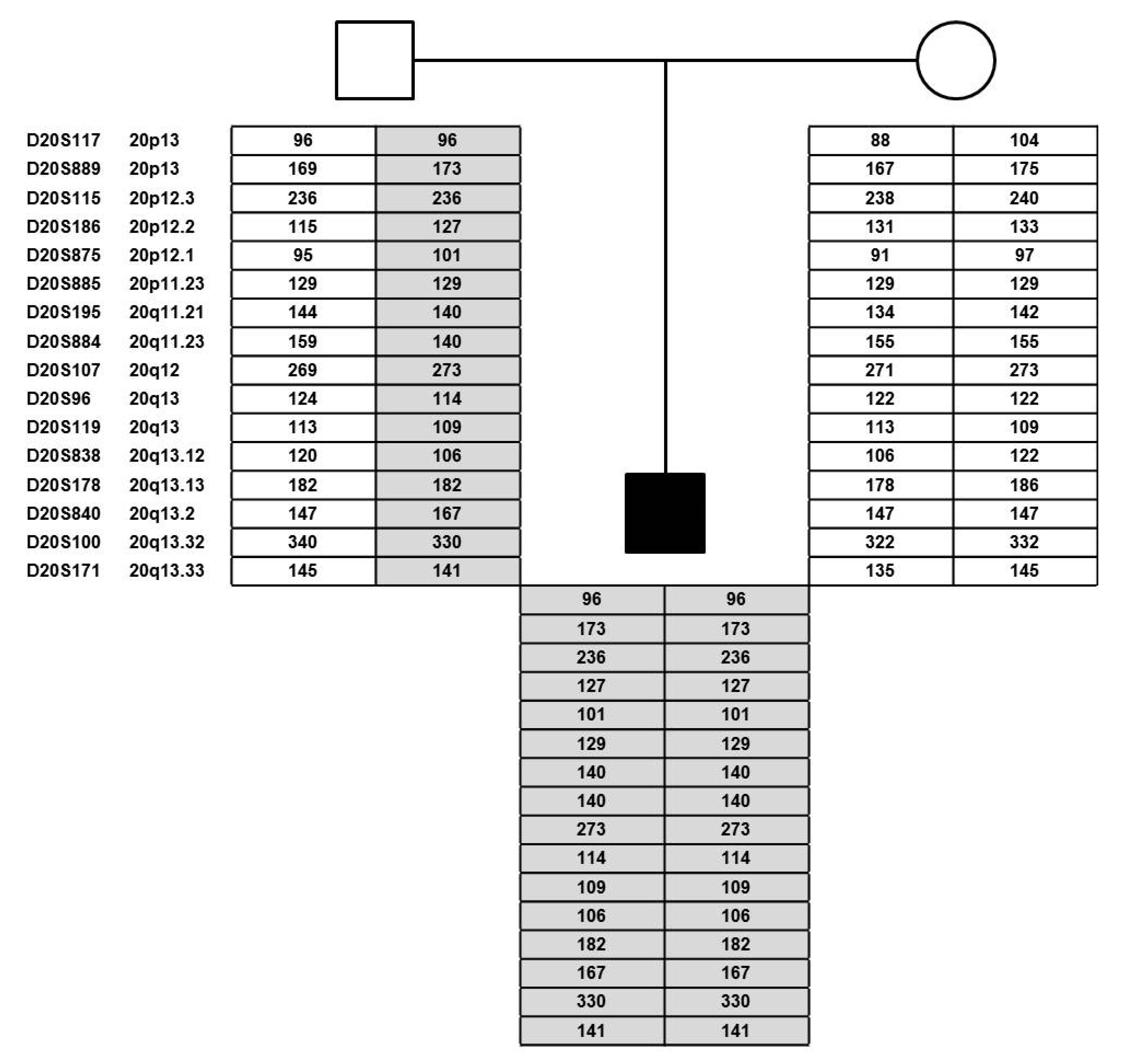 Genes 12 00172 g003 Genes 12 00172 g003